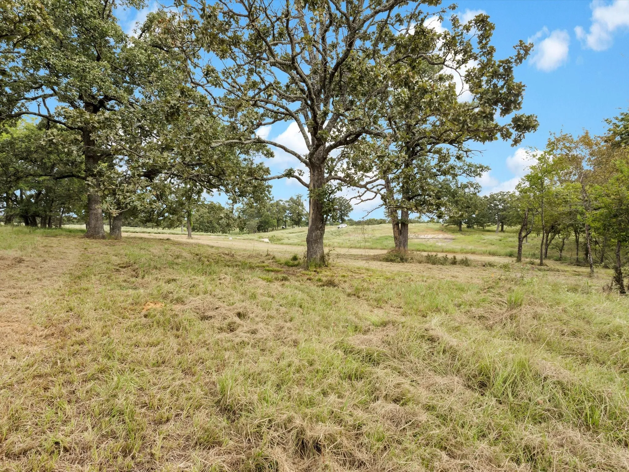Unimproved Land For Sale in Rains County , TBD Anglers Point Drive, Emory, Texas 75440, 0, 0, Garage spaces, 0 Sqft, built in 0, Price $129,900, mls#21058947, Real Estate Agent in Emory, Homes For Sale in Rains county, Homes For Sale in Emory, Realtor in Emory Texas, Real Estate Brokerage Independent Realty Texas, Luminita Cordes Realtor