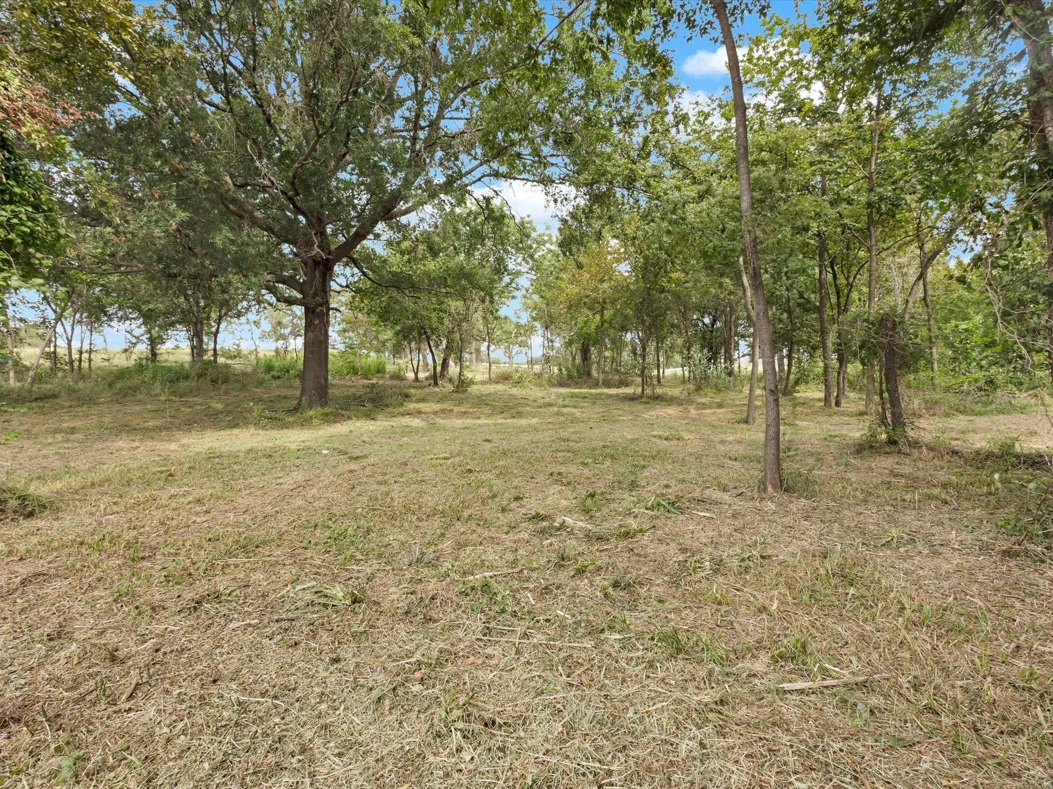 Unimproved Land For Sale in Rains County , TBD Anglers Point Drive, Emory, Texas 75440, 0, 0, Garage spaces, 0 Sqft, built in 0, Price $129,900, mls#21058947, Real Estate Agent in Emory, Homes For Sale in Rains county, Homes For Sale in Emory, Realtor in Emory Texas, Real Estate Brokerage Independent Realty Texas, Luminita Cordes Realtor