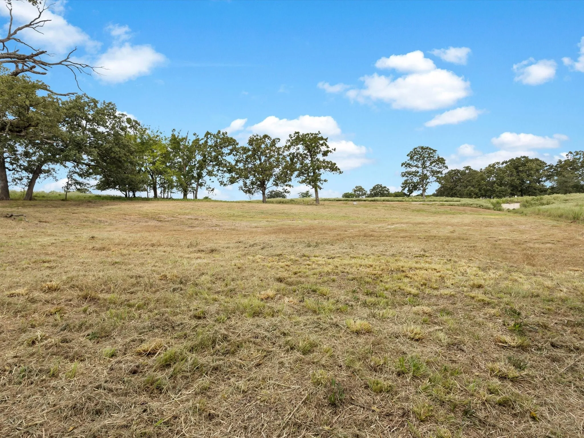 Unimproved Land For Sale in Rains County , TBD Anglers Point Drive, Emory, Texas 75440, 0, 0, Garage spaces, 0 Sqft, built in 0, Price $129,900, mls#21058947, Real Estate Agent in Emory, Homes For Sale in Rains county, Homes For Sale in Emory, Realtor in Emory Texas, Real Estate Brokerage Independent Realty Texas, Luminita Cordes Realtor
