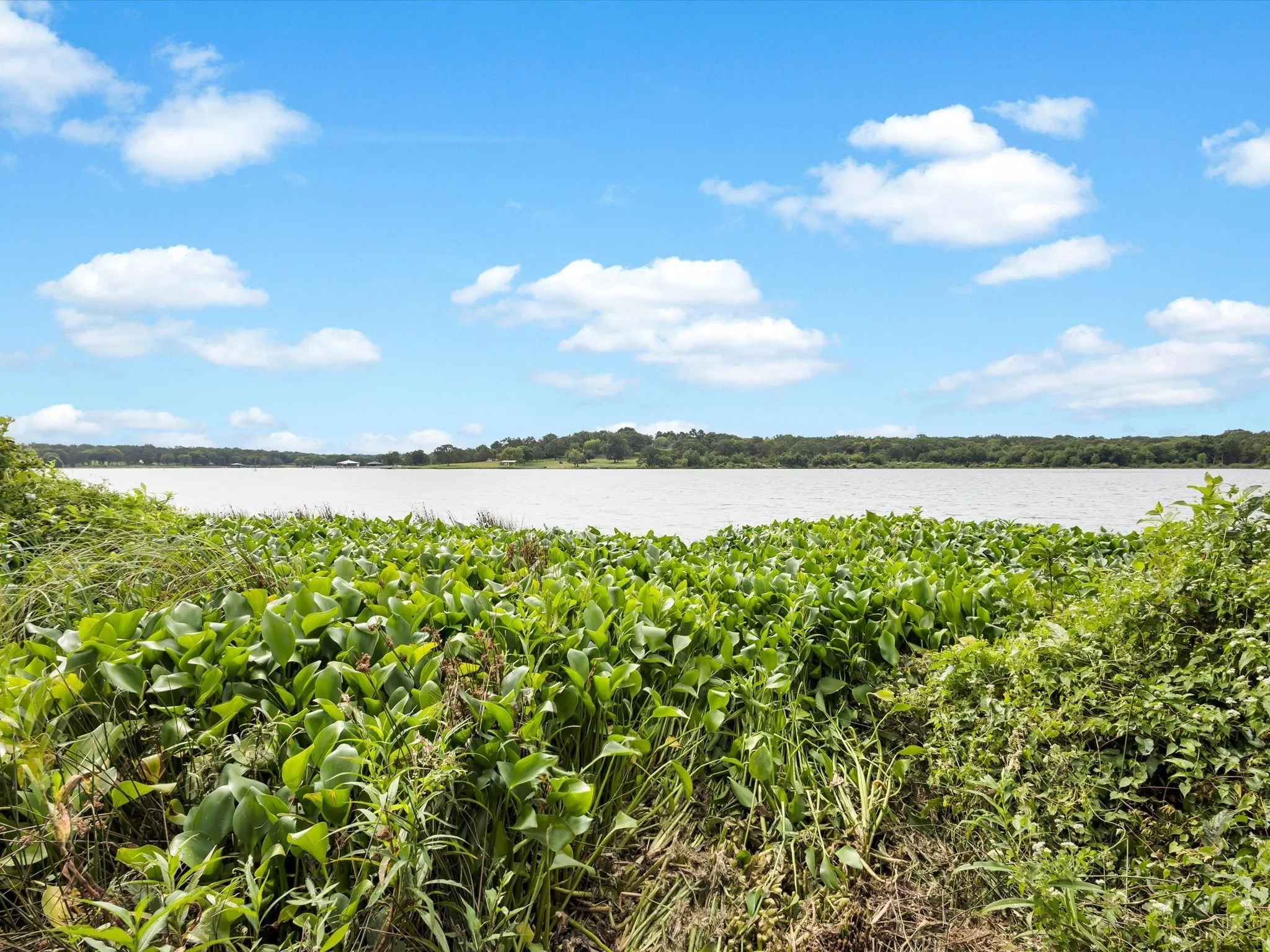 Unimproved Land For Sale in Rains County , TBD Anglers Point Drive, Emory, Texas 75440, 0, 0, Garage spaces, 0 Sqft, built in 0, Price $129,900, mls#21058947, Real Estate Agent in Emory, Homes For Sale in Rains county, Homes For Sale in Emory, Realtor in Emory Texas, Real Estate Brokerage Independent Realty Texas, Luminita Cordes Realtor