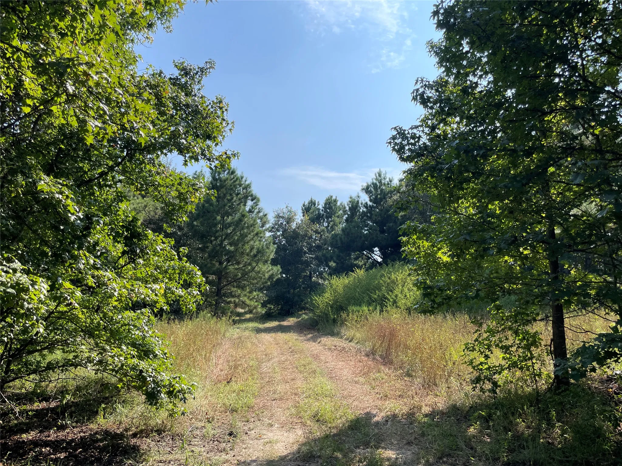 Unimproved Land For Sale in Anderson County , 0 County Road 305, Frankston, Texas 75763, 0, 0, Garage spaces, 0 Sqft, built in 0, mls#21065256, Real Estate Agent in Frankston, Homes For Sale in Anderson county, Homes For Sale in Frankston, Realtor in Frankston Texas, Real Estate Brokerage Independent Realty Texas, Luminita Cordes Realtor