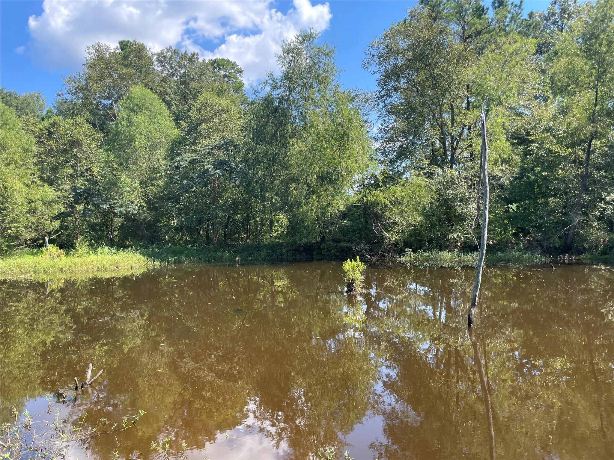 Unimproved Land For Sale in Anderson County , 0 County Road 305, Frankston, Texas 75763, 0, 0, Garage spaces, 0 Sqft, built in 0, mls#21065256, Real Estate Agent in Frankston, Homes For Sale in Anderson county, Homes For Sale in Frankston, Realtor in Frankston Texas, Real Estate Brokerage Independent Realty Texas, Luminita Cordes Realtor