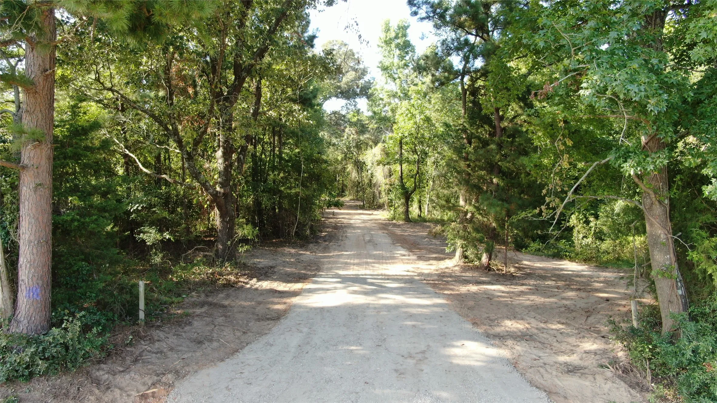 Unimproved Land For Sale in Anderson County , 0 County Road 305, Frankston, Texas 75763, 0, 0, Garage spaces, 0 Sqft, built in 0, mls#21065256, Real Estate Agent in Frankston, Homes For Sale in Anderson county, Homes For Sale in Frankston, Realtor in Frankston Texas, Real Estate Brokerage Independent Realty Texas, Luminita Cordes Realtor