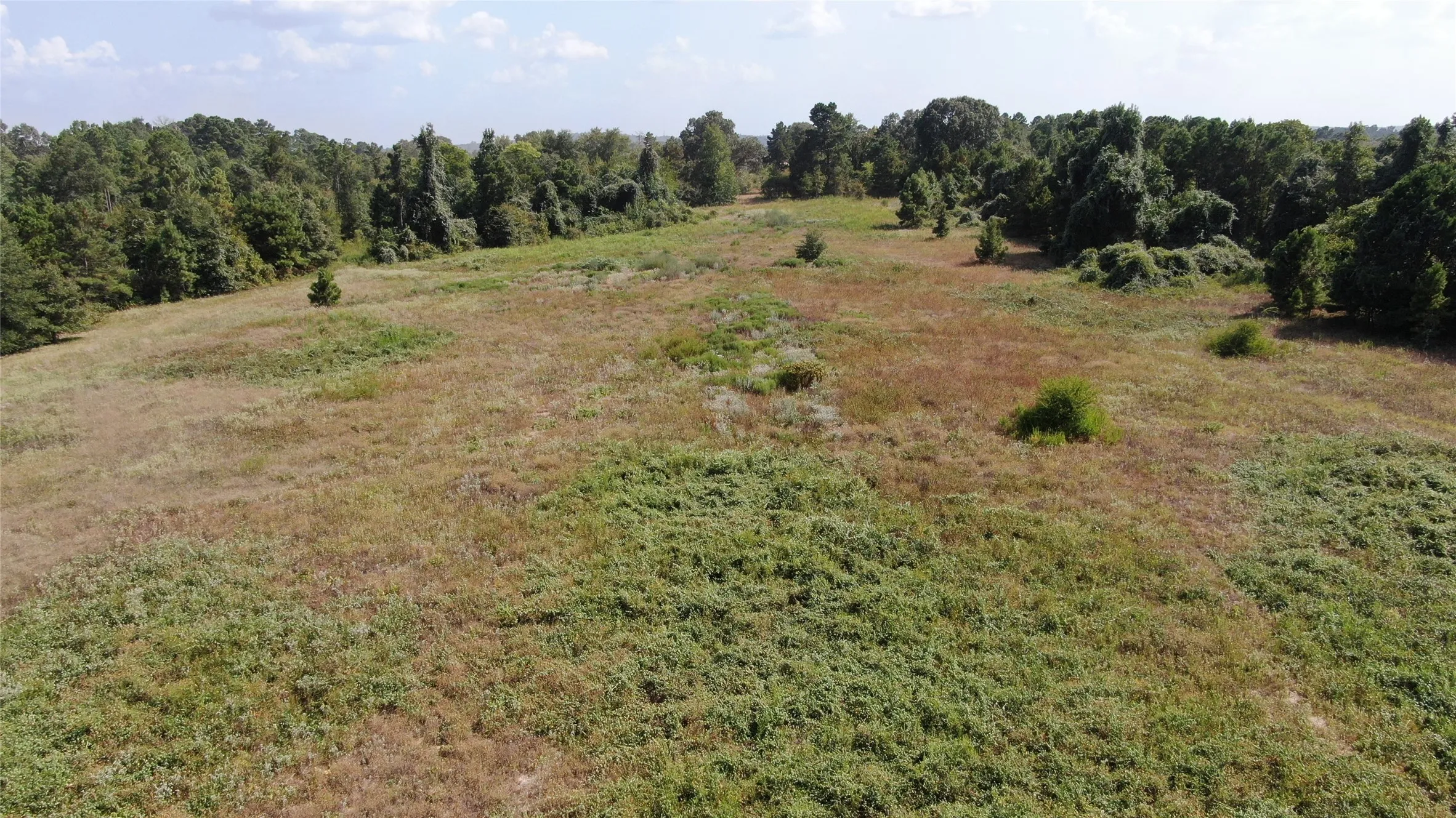 Unimproved Land For Sale in Anderson County , 0 County Road 305, Frankston, Texas 75763, 0, 0, Garage spaces, 0 Sqft, built in 0, mls#21065256, Real Estate Agent in Frankston, Homes For Sale in Anderson county, Homes For Sale in Frankston, Realtor in Frankston Texas, Real Estate Brokerage Independent Realty Texas, Luminita Cordes Realtor