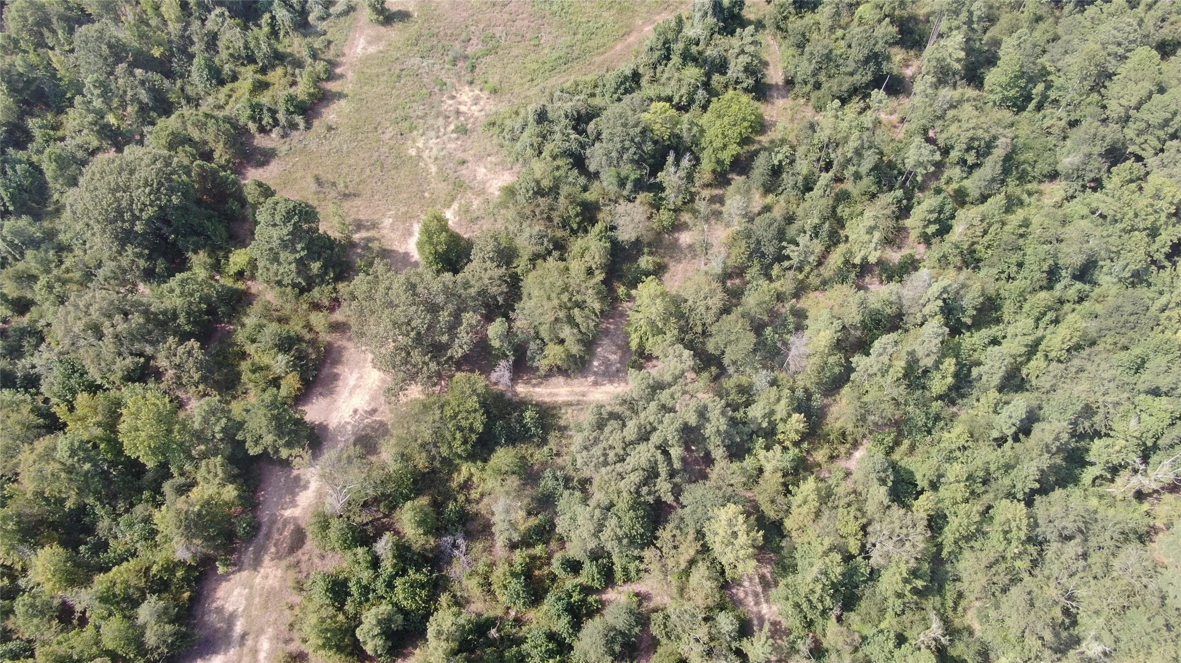Unimproved Land For Sale in Anderson County , 0 County Road 305, Frankston, Texas 75763, 0, 0, Garage spaces, 0 Sqft, built in 0, mls#21065256, Real Estate Agent in Frankston, Homes For Sale in Anderson county, Homes For Sale in Frankston, Realtor in Frankston Texas, Real Estate Brokerage Independent Realty Texas, Luminita Cordes Realtor