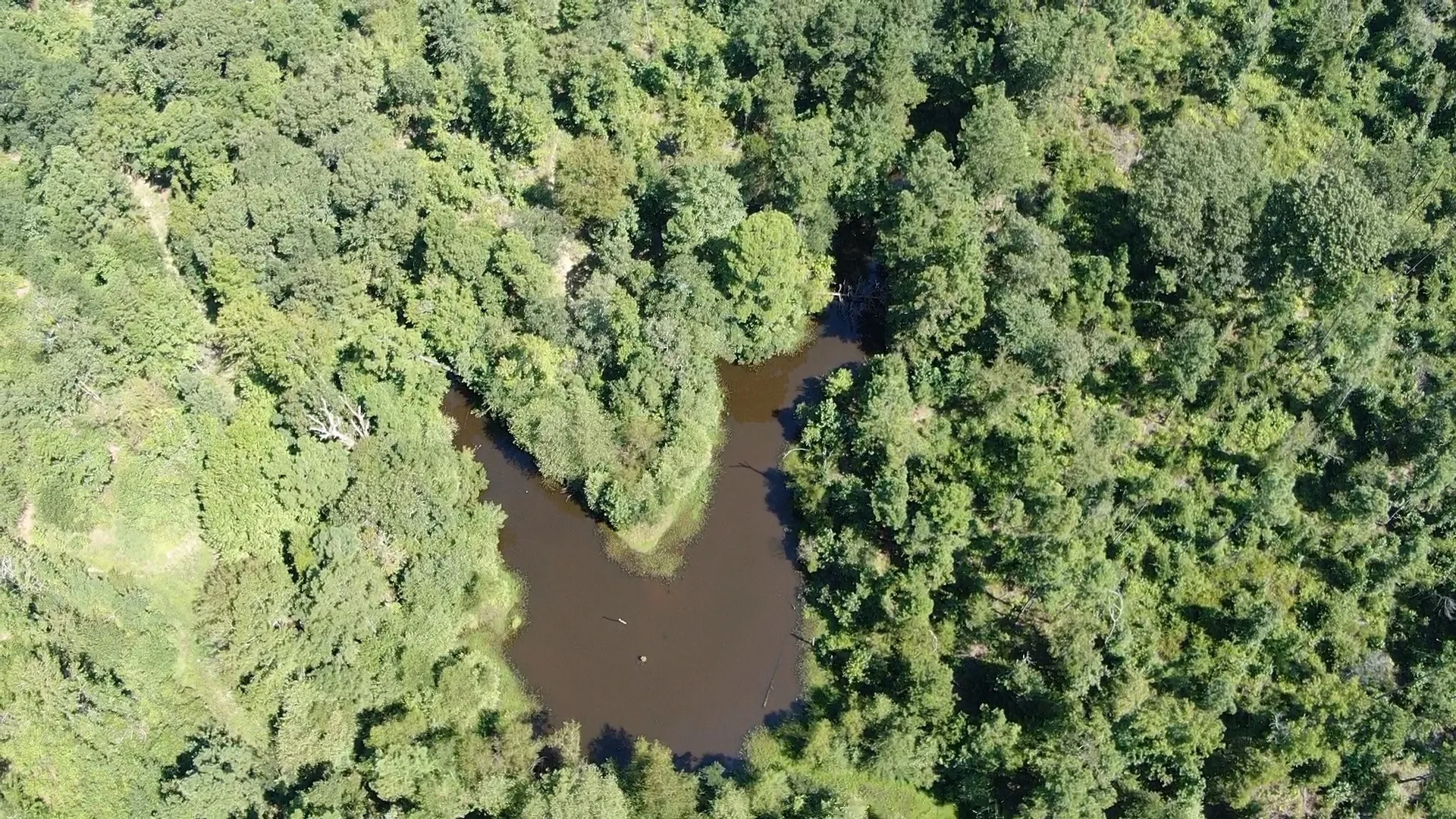 Unimproved Land For Sale in Anderson County , 0 County Road 305, Frankston, Texas 75763, 0, 0, Garage spaces, 0 Sqft, built in 0, mls#21065256, Real Estate Agent in Frankston, Homes For Sale in Anderson county, Homes For Sale in Frankston, Realtor in Frankston Texas, Real Estate Brokerage Independent Realty Texas, Luminita Cordes Realtor