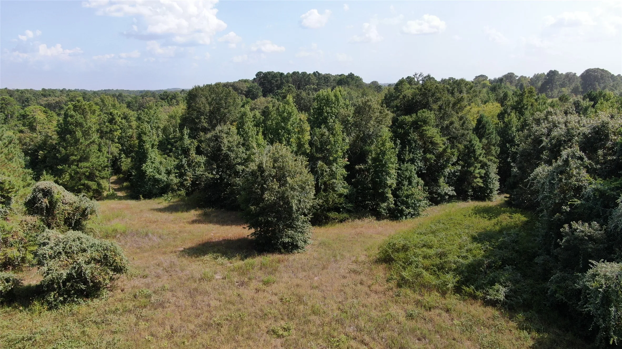Unimproved Land For Sale in Anderson County , 0 County Road 305, Frankston, Texas 75763, 0, 0, Garage spaces, 0 Sqft, built in 0, mls#21065256, Real Estate Agent in Frankston, Homes For Sale in Anderson county, Homes For Sale in Frankston, Realtor in Frankston Texas, Real Estate Brokerage Independent Realty Texas, Luminita Cordes Realtor
