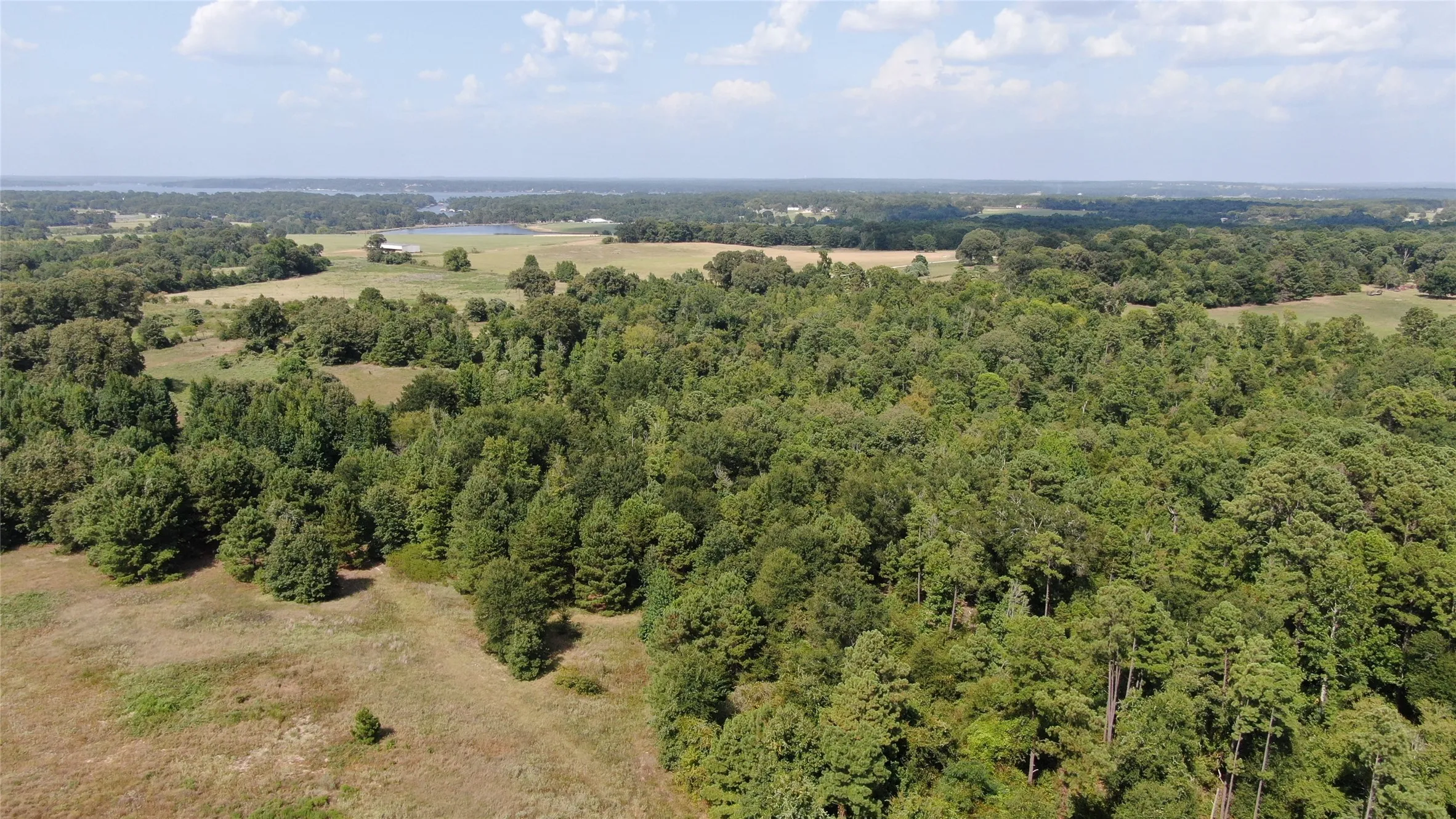 Unimproved Land For Sale in Anderson County , 0 County Road 305, Frankston, Texas 75763, 0, 0, Garage spaces, 0 Sqft, built in 0, mls#21065256, Real Estate Agent in Frankston, Homes For Sale in Anderson county, Homes For Sale in Frankston, Realtor in Frankston Texas, Real Estate Brokerage Independent Realty Texas, Luminita Cordes Realtor