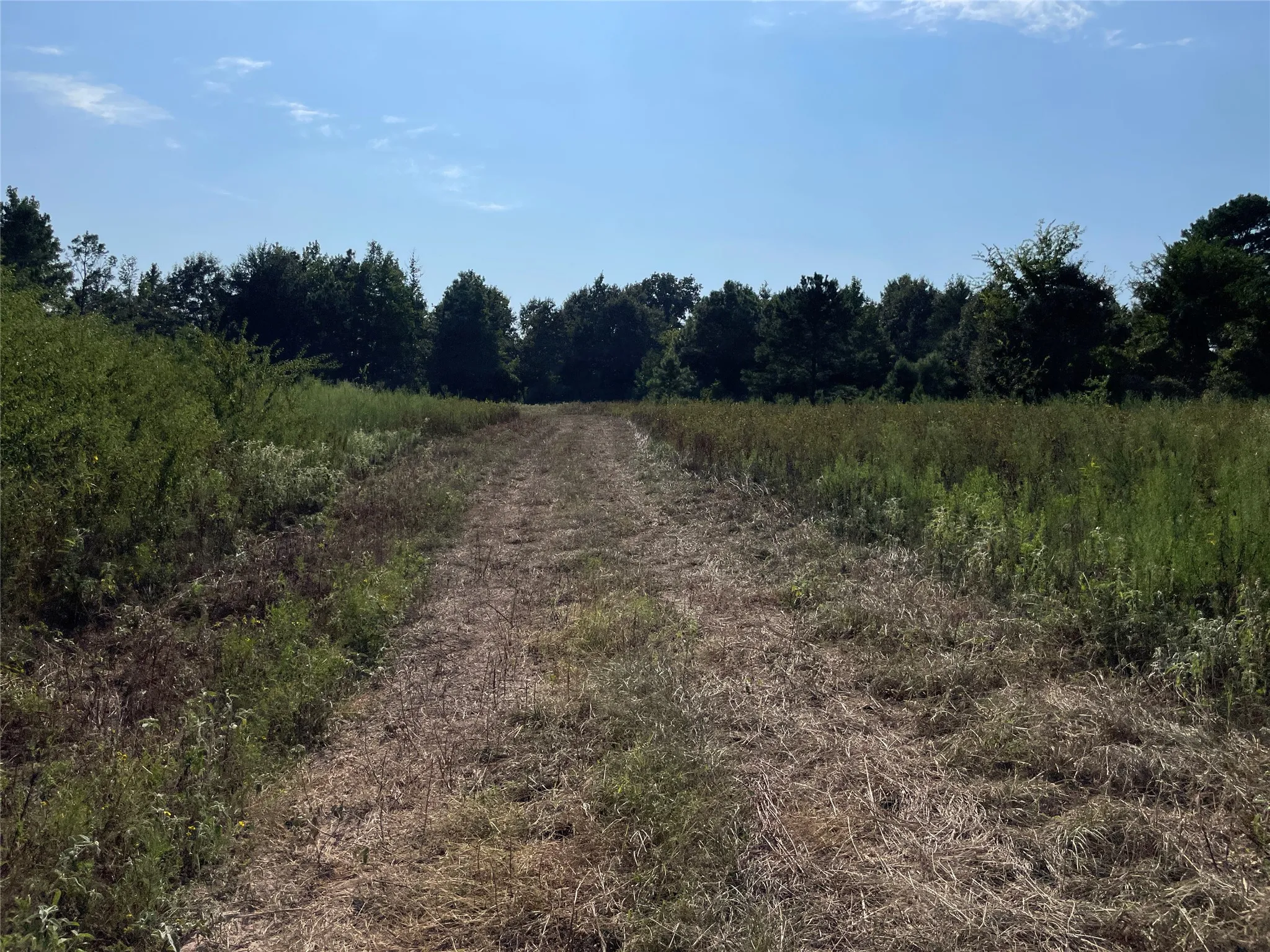 Unimproved Land For Sale in Anderson County , 0 County Road 305, Frankston, Texas 75763, 0, 0, Garage spaces, 0 Sqft, built in 0, mls#21065256, Real Estate Agent in Frankston, Homes For Sale in Anderson county, Homes For Sale in Frankston, Realtor in Frankston Texas, Real Estate Brokerage Independent Realty Texas, Luminita Cordes Realtor