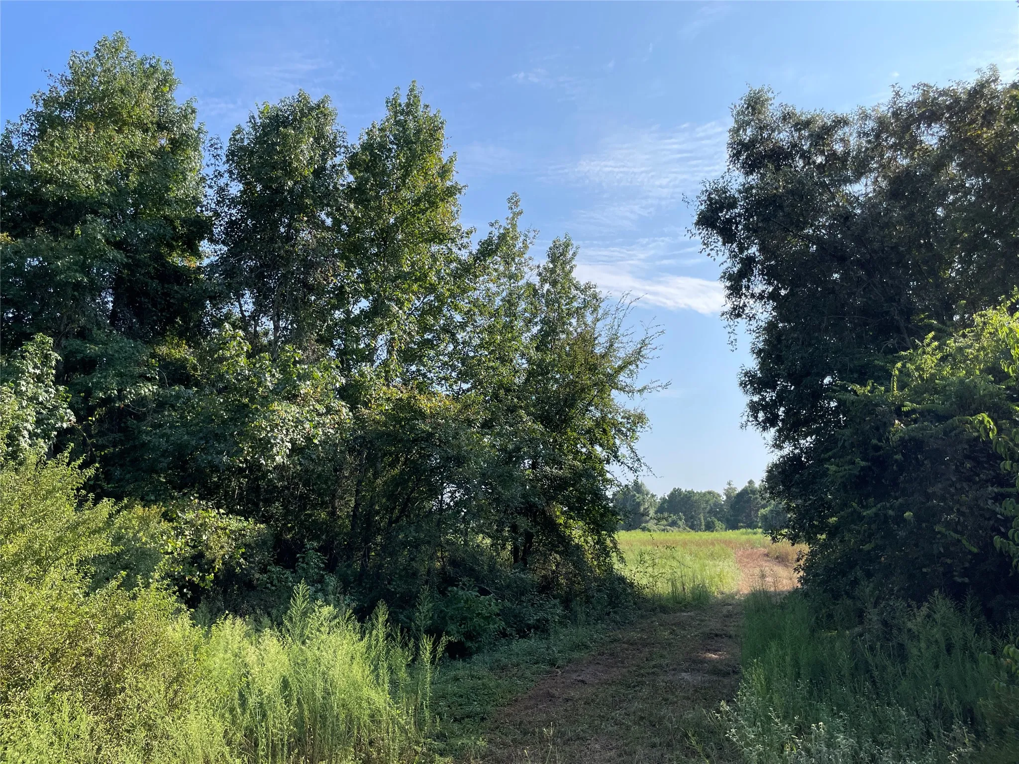 Unimproved Land For Sale in Anderson County , 0 County Road 305, Frankston, Texas 75763, 0, 0, Garage spaces, 0 Sqft, built in 0, mls#21065256, Real Estate Agent in Frankston, Homes For Sale in Anderson county, Homes For Sale in Frankston, Realtor in Frankston Texas, Real Estate Brokerage Independent Realty Texas, Luminita Cordes Realtor