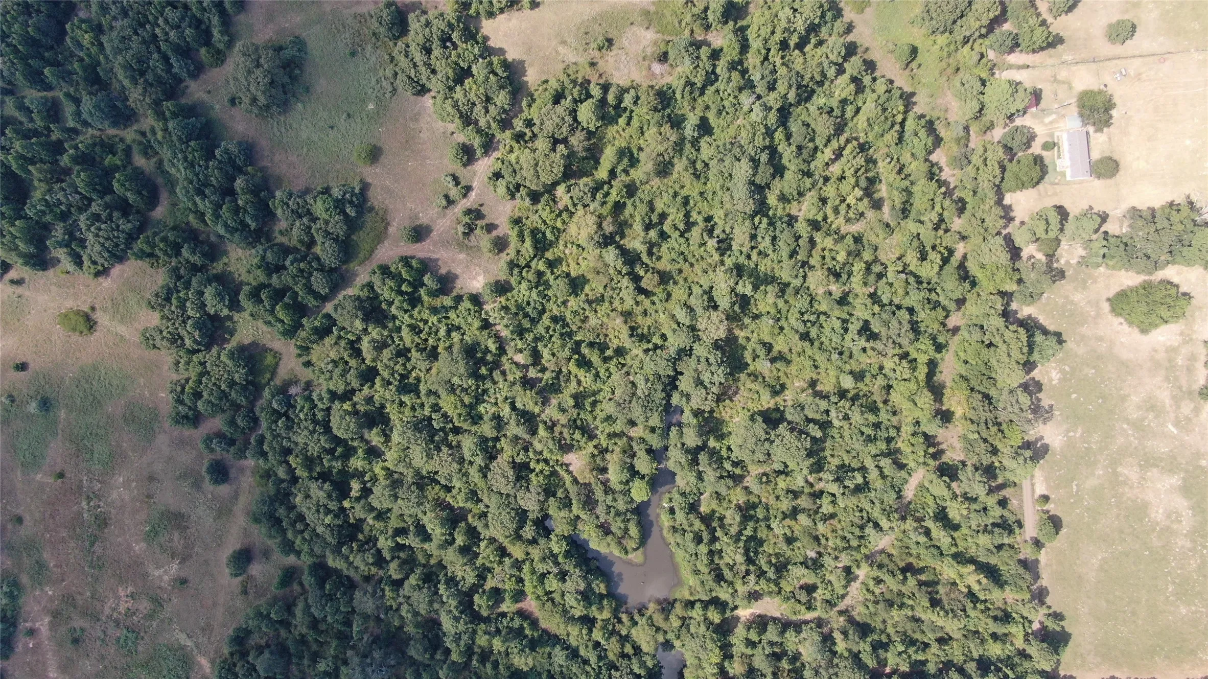 Unimproved Land For Sale in Anderson County , 0 County Road 305, Frankston, Texas 75763, 0, 0, Garage spaces, 0 Sqft, built in 0, mls#21065256, Real Estate Agent in Frankston, Homes For Sale in Anderson county, Homes For Sale in Frankston, Realtor in Frankston Texas, Real Estate Brokerage Independent Realty Texas, Luminita Cordes Realtor