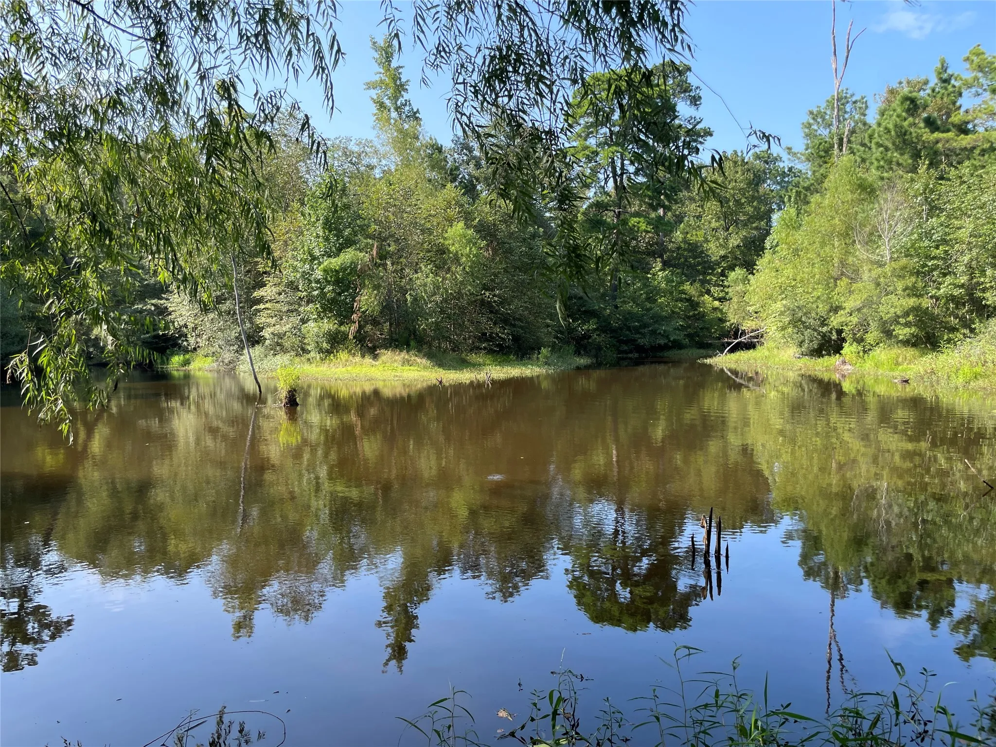 Unimproved Land For Sale in Anderson County , 0 County Road 305, Frankston, Texas 75763, 0, 0, Garage spaces, 0 Sqft, built in 0, mls#21065256, Real Estate Agent in Frankston, Homes For Sale in Anderson county, Homes For Sale in Frankston, Realtor in Frankston Texas, Real Estate Brokerage Independent Realty Texas, Luminita Cordes Realtor