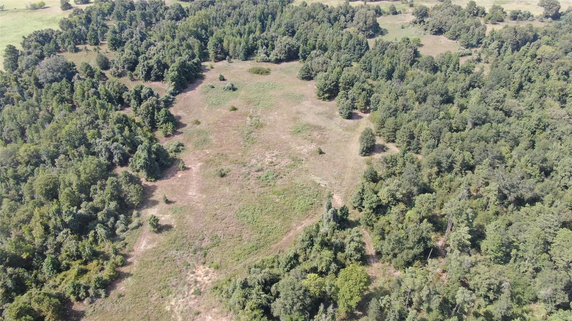 Unimproved Land For Sale in Anderson County , 0 County Road 305, Frankston, Texas 75763, 0, 0, Garage spaces, 0 Sqft, built in 0, mls#21065256, Real Estate Agent in Frankston, Homes For Sale in Anderson county, Homes For Sale in Frankston, Realtor in Frankston Texas, Real Estate Brokerage Independent Realty Texas, Luminita Cordes Realtor