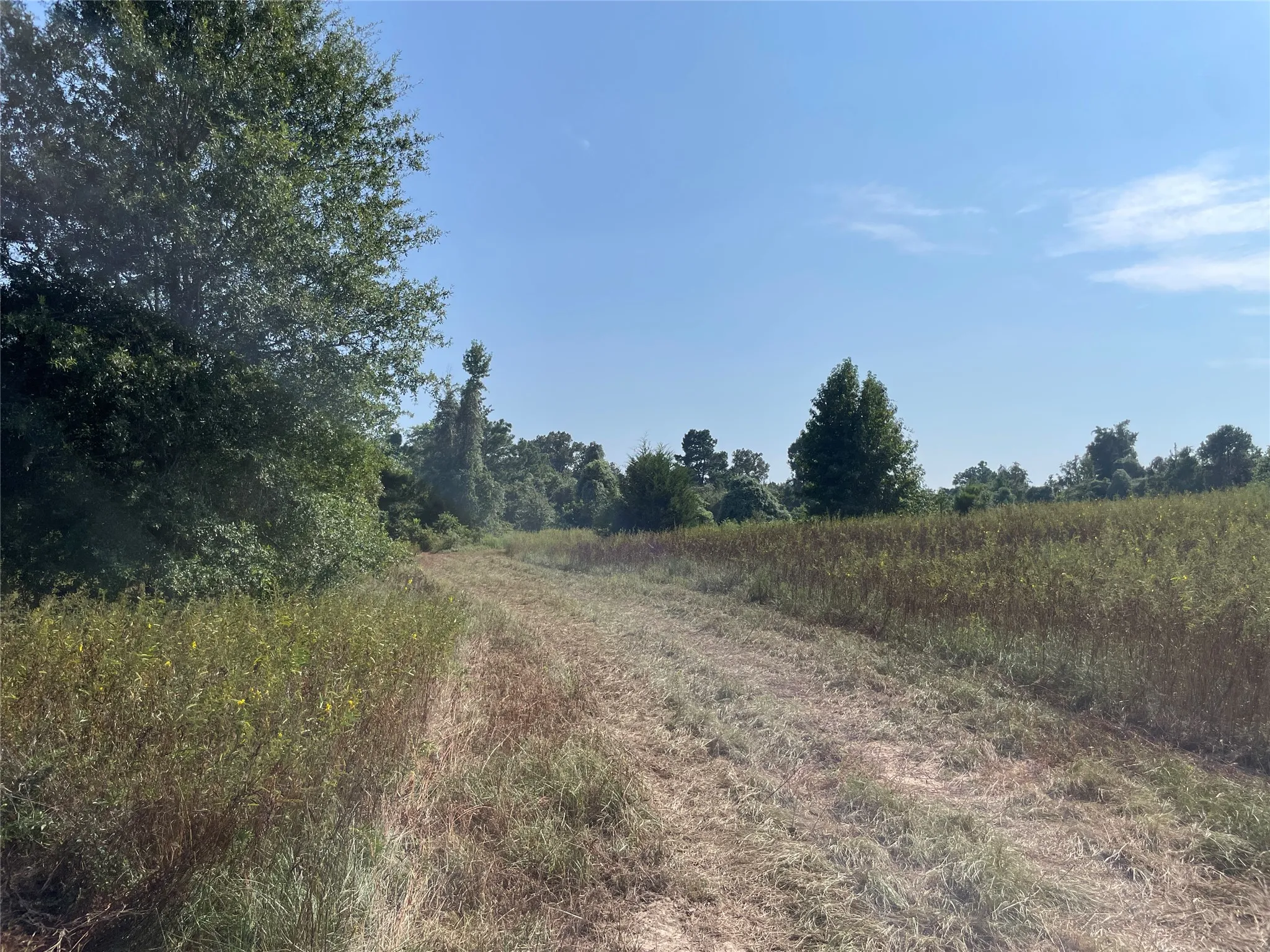 Unimproved Land For Sale in Anderson County , 0 County Road 305, Frankston, Texas 75763, 0, 0, Garage spaces, 0 Sqft, built in 0, mls#21065256, Real Estate Agent in Frankston, Homes For Sale in Anderson county, Homes For Sale in Frankston, Realtor in Frankston Texas, Real Estate Brokerage Independent Realty Texas, Luminita Cordes Realtor