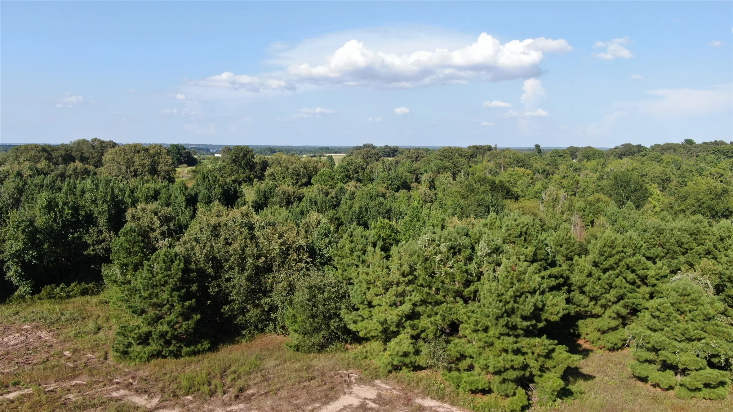 Unimproved Land For Sale in Anderson County , 0 County Road 305, Frankston, Texas 75763, 0, 0, Garage spaces, 0 Sqft, built in 0, mls#21065256, Real Estate Agent in Frankston, Homes For Sale in Anderson county, Homes For Sale in Frankston, Realtor in Frankston Texas, Real Estate Brokerage Independent Realty Texas, Luminita Cordes Realtor