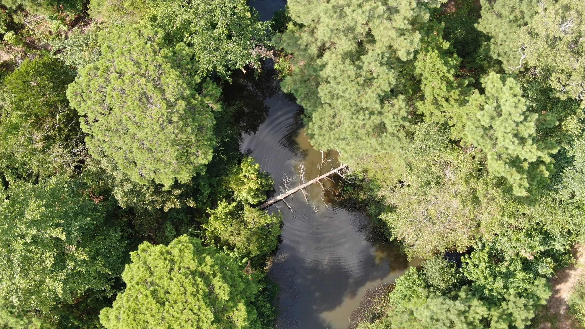 Unimproved Land For Sale in Anderson County , 0 County Road 305, Frankston, Texas 75763, 0, 0, Garage spaces, 0 Sqft, built in 0, mls#21065256, Real Estate Agent in Frankston, Homes For Sale in Anderson county, Homes For Sale in Frankston, Realtor in Frankston Texas, Real Estate Brokerage Independent Realty Texas, Luminita Cordes Realtor