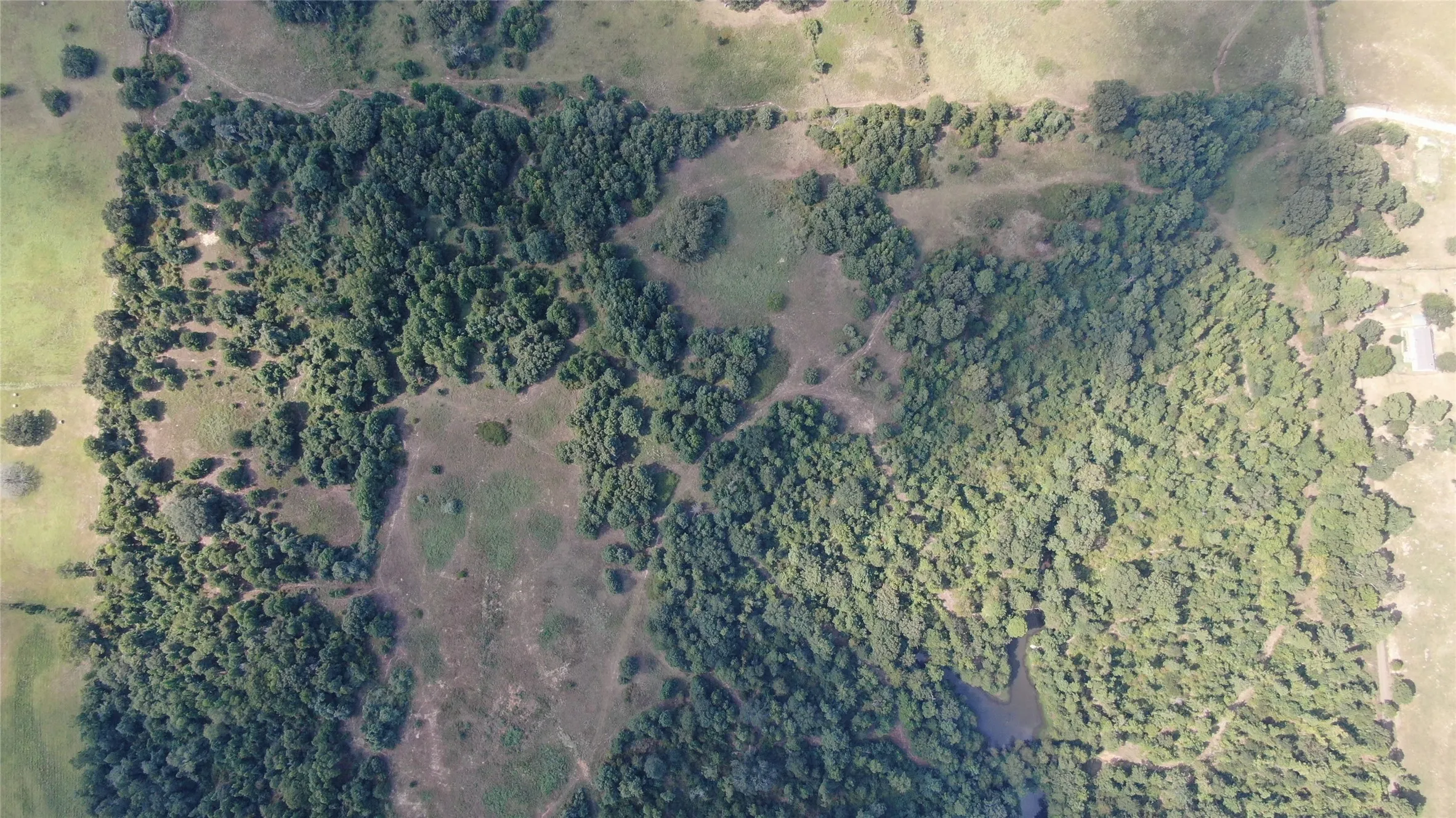 Unimproved Land For Sale in Anderson County , 0 County Road 305, Frankston, Texas 75763, 0, 0, Garage spaces, 0 Sqft, built in 0, mls#21065256, Real Estate Agent in Frankston, Homes For Sale in Anderson county, Homes For Sale in Frankston, Realtor in Frankston Texas, Real Estate Brokerage Independent Realty Texas, Luminita Cordes Realtor