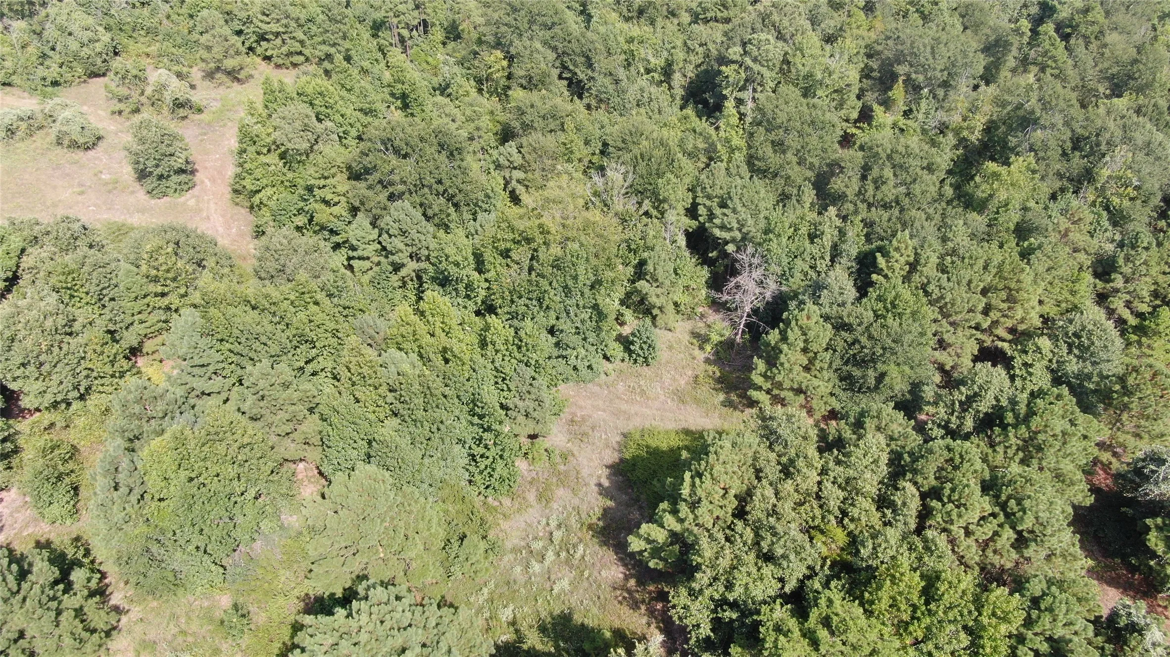Unimproved Land For Sale in Anderson County , 0 County Road 305, Frankston, Texas 75763, 0, 0, Garage spaces, 0 Sqft, built in 0, mls#21065256, Real Estate Agent in Frankston, Homes For Sale in Anderson county, Homes For Sale in Frankston, Realtor in Frankston Texas, Real Estate Brokerage Independent Realty Texas, Luminita Cordes Realtor
