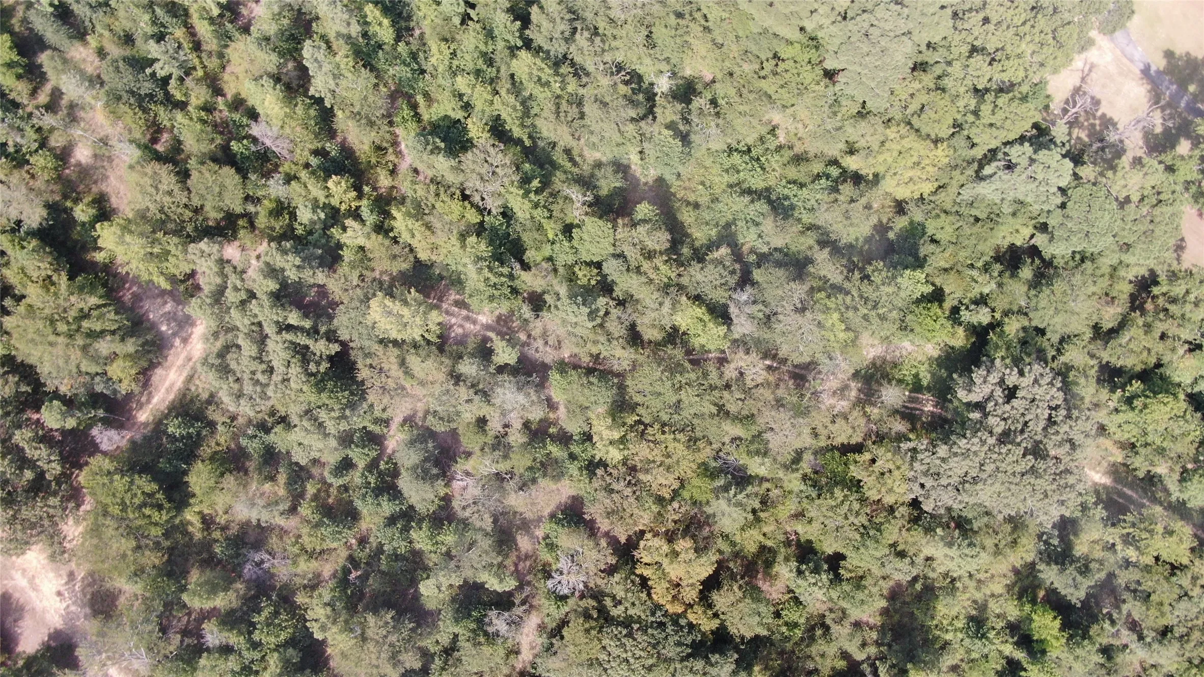 Trails
