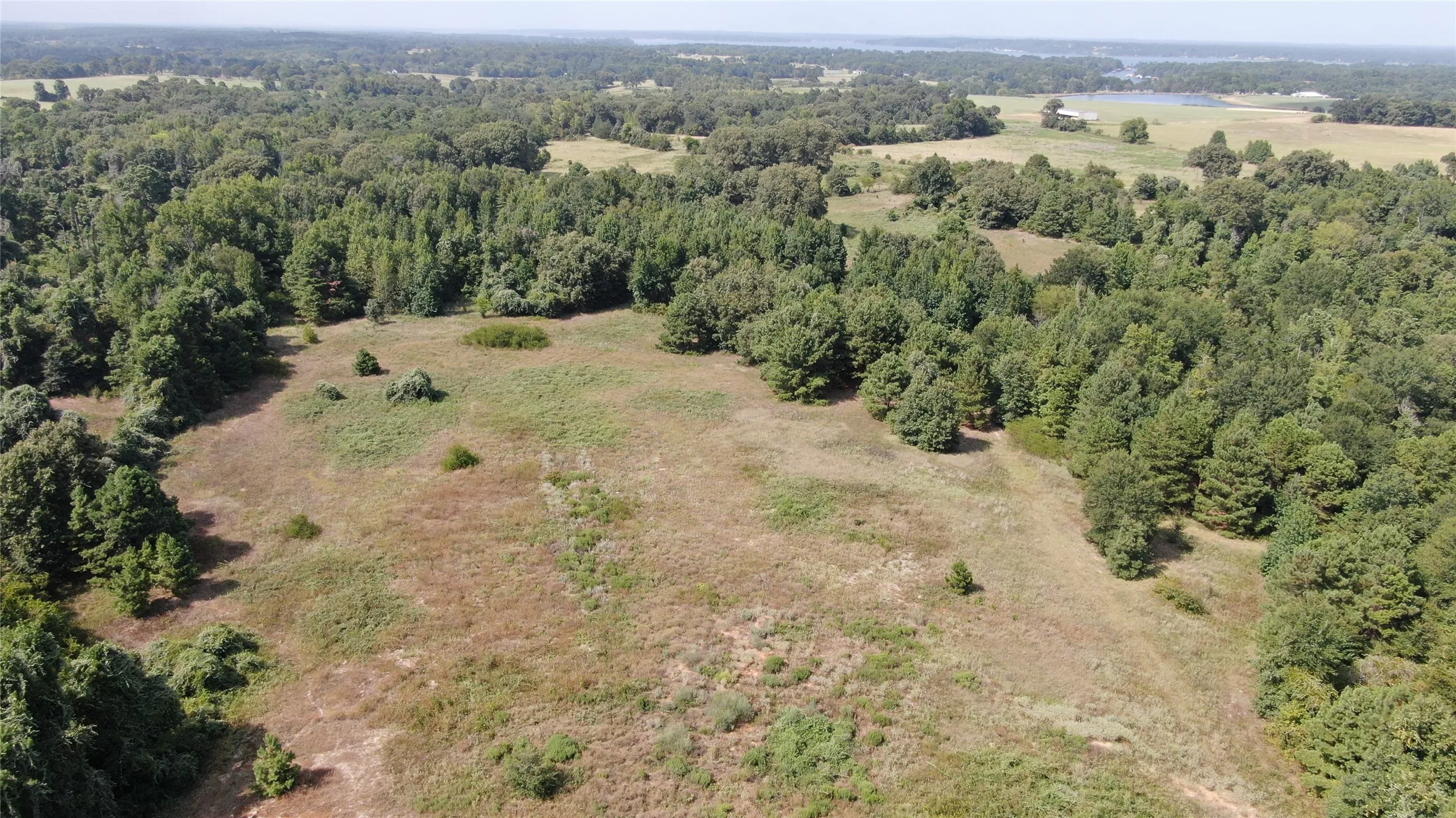 Unimproved Land For Sale in Anderson County , 0 County Road 305, Frankston, Texas 75763, 0, 0, Garage spaces, 0 Sqft, built in 0, mls#21065256, Real Estate Agent in Frankston, Homes For Sale in Anderson county, Homes For Sale in Frankston, Realtor in Frankston Texas, Real Estate Brokerage Independent Realty Texas, Luminita Cordes Realtor