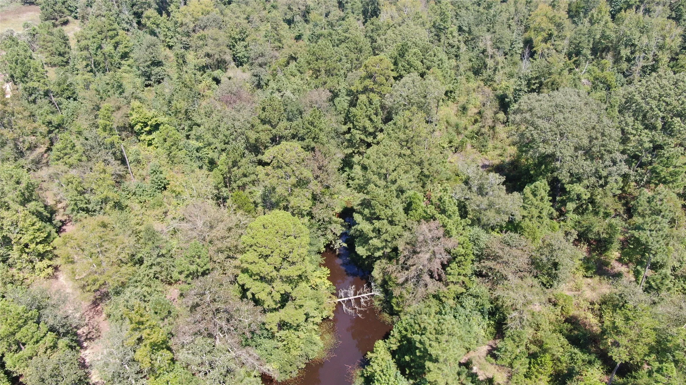 Unimproved Land For Sale in Anderson County , 0 County Road 305, Frankston, Texas 75763, 0, 0, Garage spaces, 0 Sqft, built in 0, mls#21065256, Real Estate Agent in Frankston, Homes For Sale in Anderson county, Homes For Sale in Frankston, Realtor in Frankston Texas, Real Estate Brokerage Independent Realty Texas, Luminita Cordes Realtor