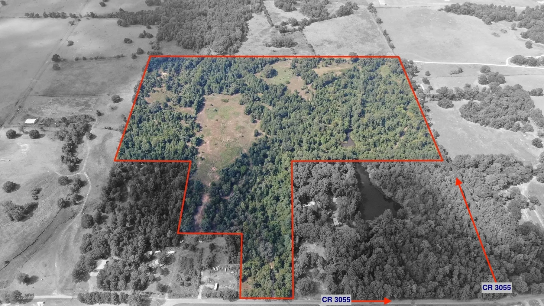 Unimproved Land For Sale in Anderson County , 0 County Road 305, Frankston, Texas 75763, 0, 0, Garage spaces, 0 Sqft, built in 0, mls#21065256, Real Estate Agent in Frankston, Homes For Sale in Anderson county, Homes For Sale in Frankston, Realtor in Frankston Texas, Real Estate Brokerage Independent Realty Texas, Luminita Cordes Realtor