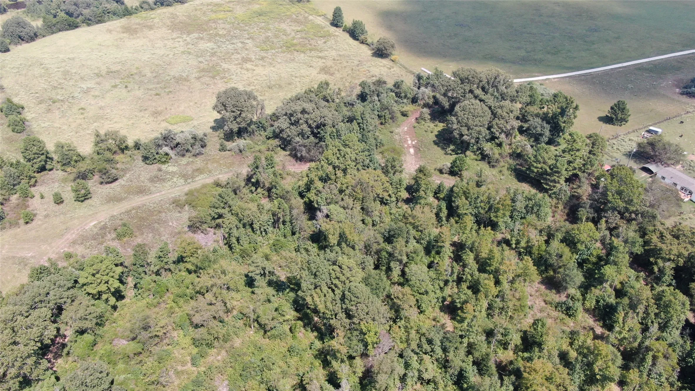 Unimproved Land For Sale in Anderson County , 0 County Road 305, Frankston, Texas 75763, 0, 0, Garage spaces, 0 Sqft, built in 0, mls#21065256, Real Estate Agent in Frankston, Homes For Sale in Anderson county, Homes For Sale in Frankston, Realtor in Frankston Texas, Real Estate Brokerage Independent Realty Texas, Luminita Cordes Realtor
