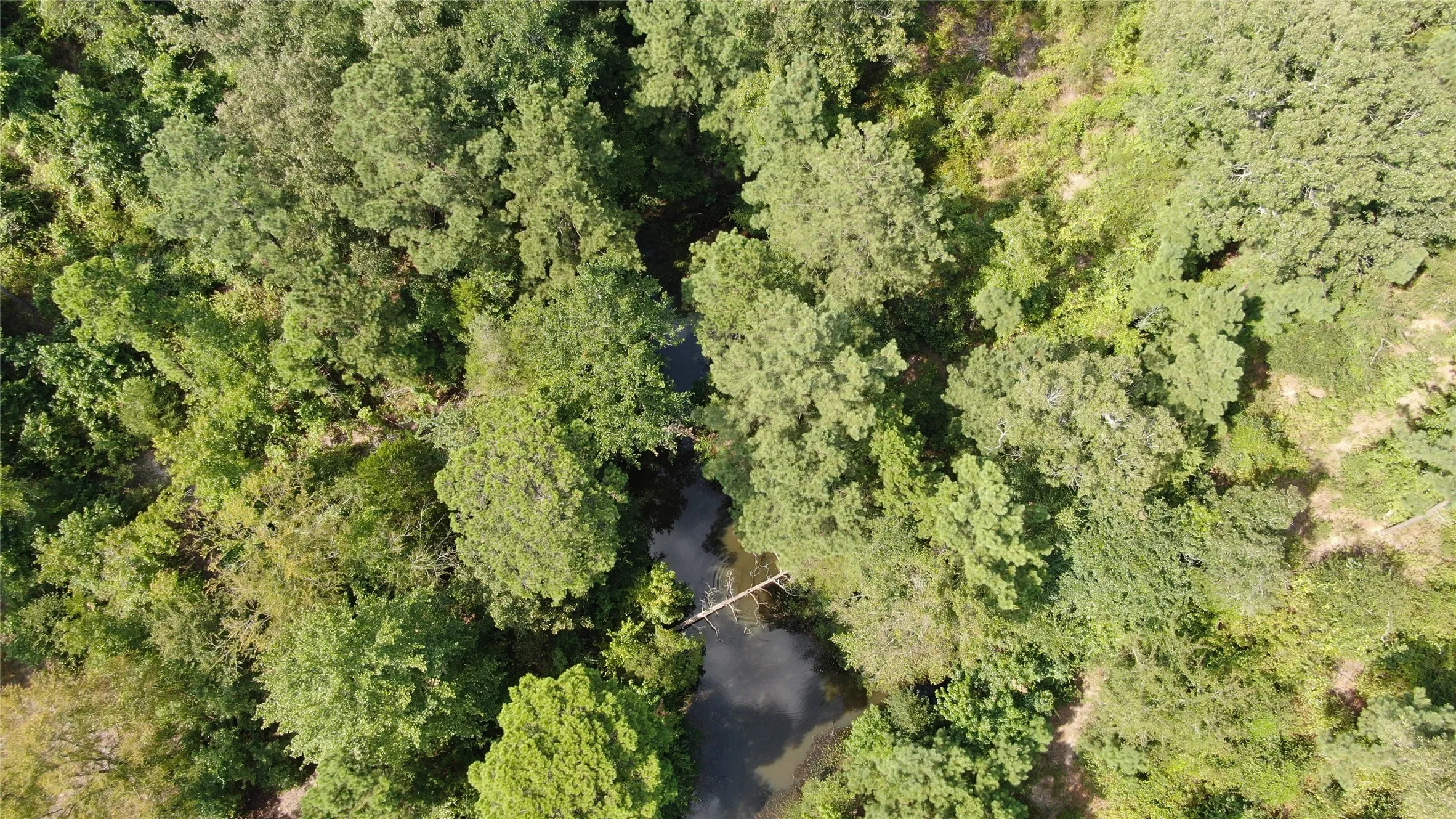 Unimproved Land For Sale in Anderson County , 0 County Road 305, Frankston, Texas 75763, 0, 0, Garage spaces, 0 Sqft, built in 0, mls#21065256, Real Estate Agent in Frankston, Homes For Sale in Anderson county, Homes For Sale in Frankston, Realtor in Frankston Texas, Real Estate Brokerage Independent Realty Texas, Luminita Cordes Realtor