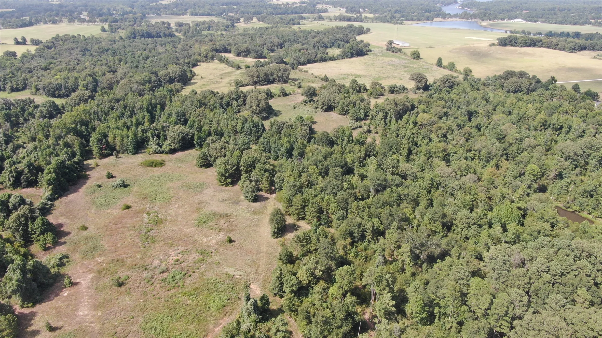 Unimproved Land For Sale in Anderson County , 0 County Road 305, Frankston, Texas 75763, 0, 0, Garage spaces, 0 Sqft, built in 0, mls#21065256, Real Estate Agent in Frankston, Homes For Sale in Anderson county, Homes For Sale in Frankston, Realtor in Frankston Texas, Real Estate Brokerage Independent Realty Texas, Luminita Cordes Realtor