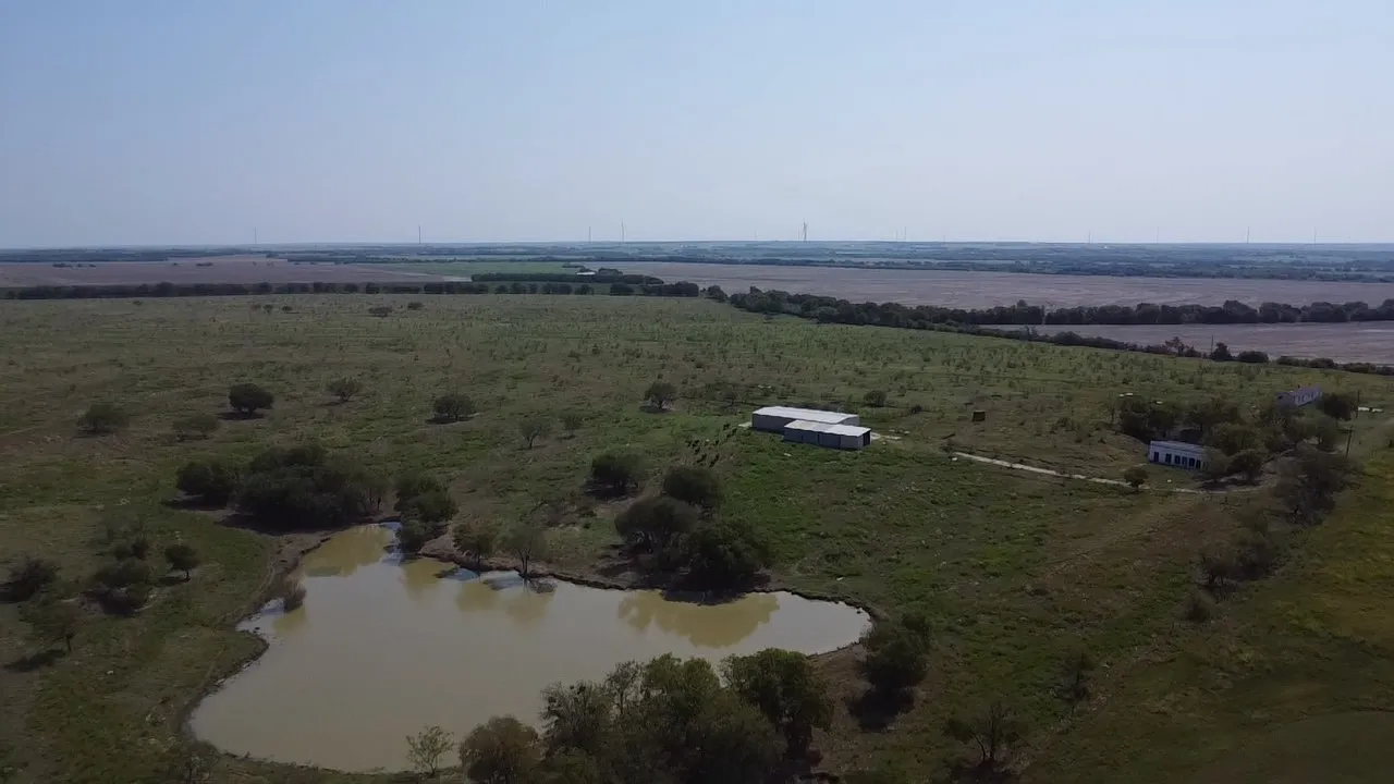 Ranch For Sale in Hill County , 2778 Fm 339, Mount Calm, Texas 76673, 0, 0, Garage spaces, 0 Sqft, built in 1995, mls#21062477, Real Estate Agent in Mount Calm, Homes For Sale in Hill county, Homes For Sale in Mount Calm, Realtor in Mount Calm Texas, Real Estate Brokerage Independent Realty Texas, Luminita Cordes Realtor