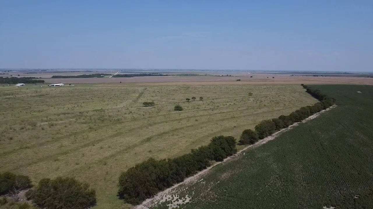 Ranch For Sale in Hill County , 2778 Fm 339, Mount Calm, Texas 76673, 0, 0, Garage spaces, 0 Sqft, built in 1995, mls#21062477, Real Estate Agent in Mount Calm, Homes For Sale in Hill county, Homes For Sale in Mount Calm, Realtor in Mount Calm Texas, Real Estate Brokerage Independent Realty Texas, Luminita Cordes Realtor