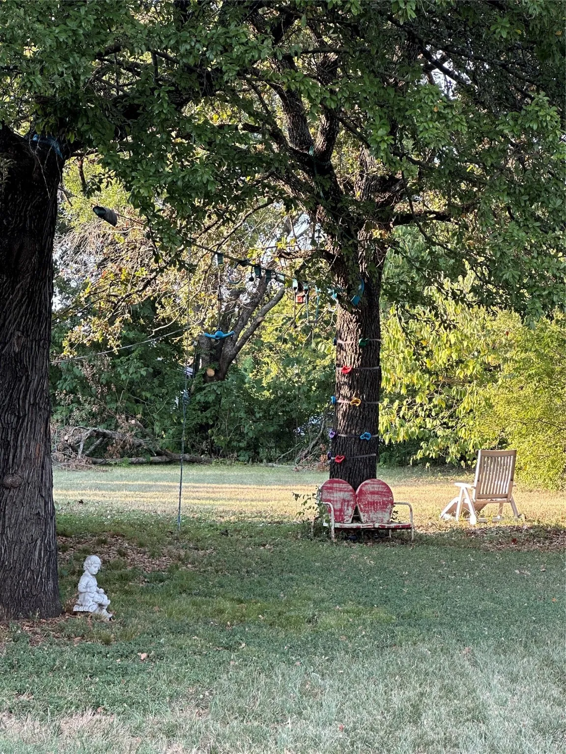 View of green lawn