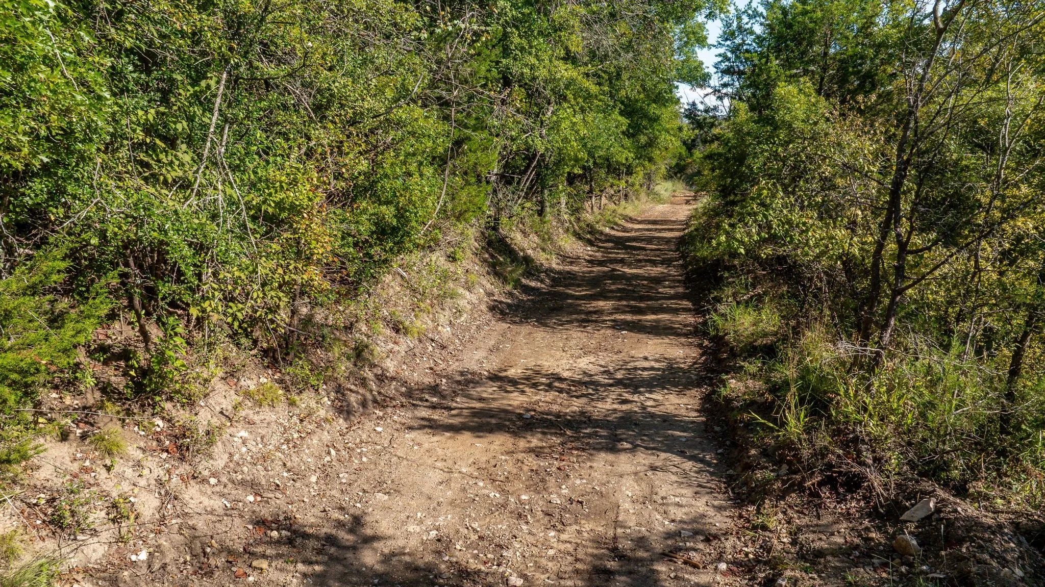 Unimproved Land For Sale in Bosque County , 10400 FM 927, Iredell, Texas 76649, 0, 0, Garage spaces, 0 Sqft, built in 0, Price $1,817,018, mls#21051293, Real Estate Agent in Iredell, Homes For Sale in Bosque county, Homes For Sale in Iredell, Realtor in Iredell Texas, Real Estate Brokerage Independent Realty Texas, Luminita Cordes Realtor