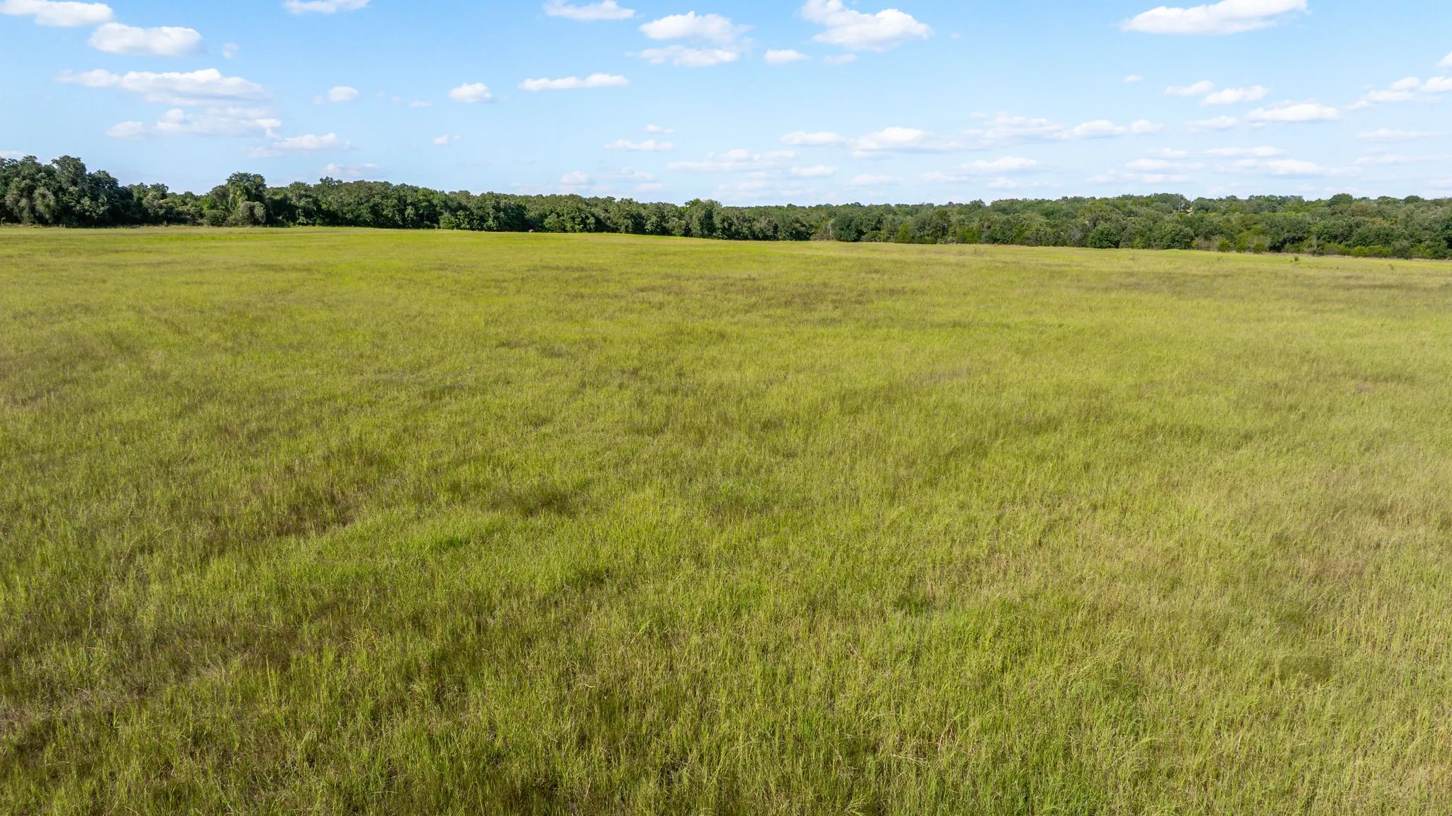 Unimproved Land For Sale in Bosque County , 10400 FM 927, Iredell, Texas 76649, 0, 0, Garage spaces, 0 Sqft, built in 0, Price $1,817,018, mls#21051293, Real Estate Agent in Iredell, Homes For Sale in Bosque county, Homes For Sale in Iredell, Realtor in Iredell Texas, Real Estate Brokerage Independent Realty Texas, Luminita Cordes Realtor