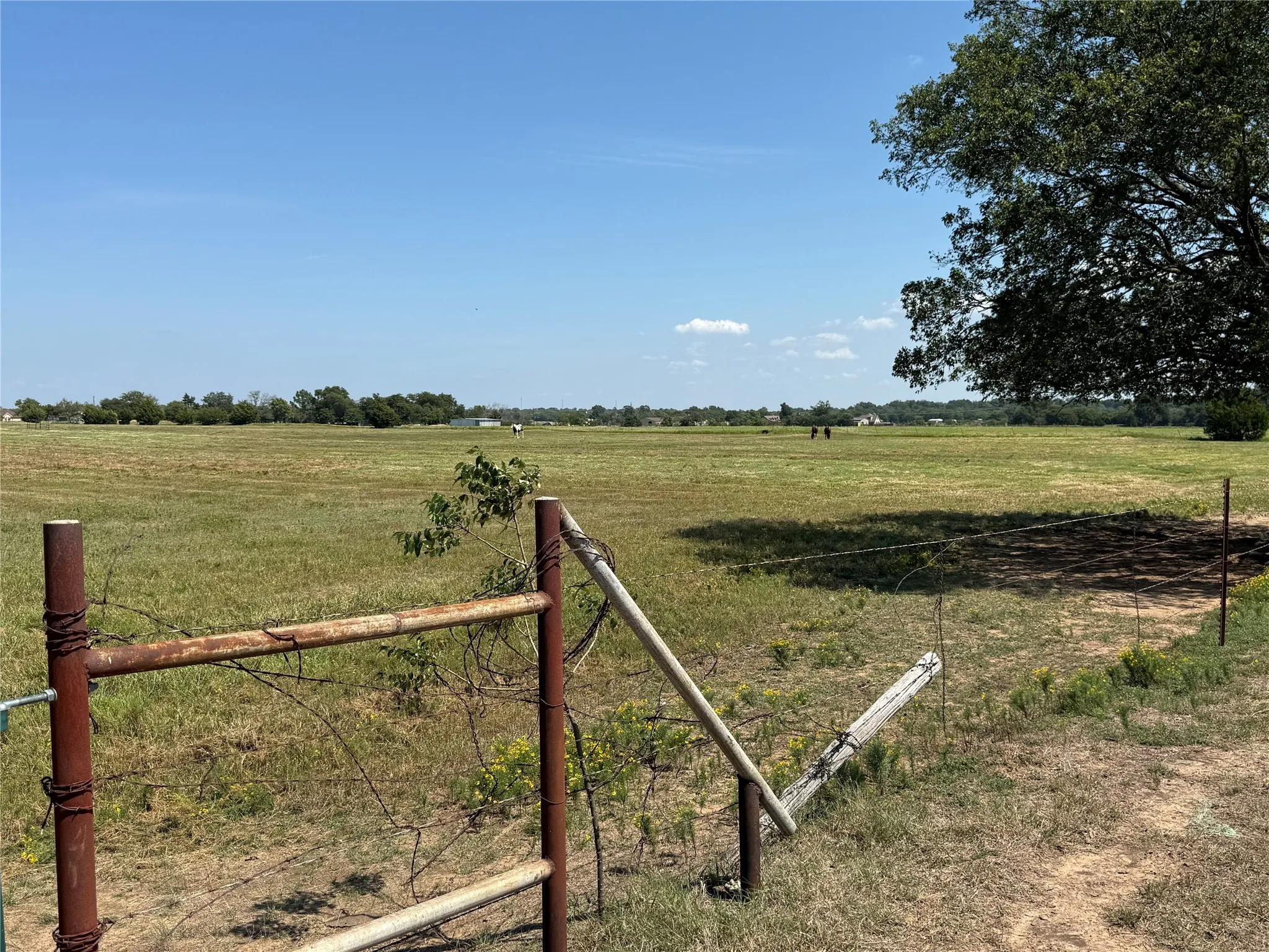 Farm For Sale in Grayson County , 808 W Line Road, Whitesboro, Texas 76273, 3 Bedrooms, 3 Bathrooms, Garage spaces, 2,000 Sqft, built in 2007, Preowned, Price $3,500,000, mls#21065085, Real Estate Agent in Whitesboro, Homes For Sale in Grayson county, Homes For Sale in Whitesboro, Realtor in Whitesboro Texas, Real Estate Brokerage Independent Realty Texas, Luminita Cordes Realtor