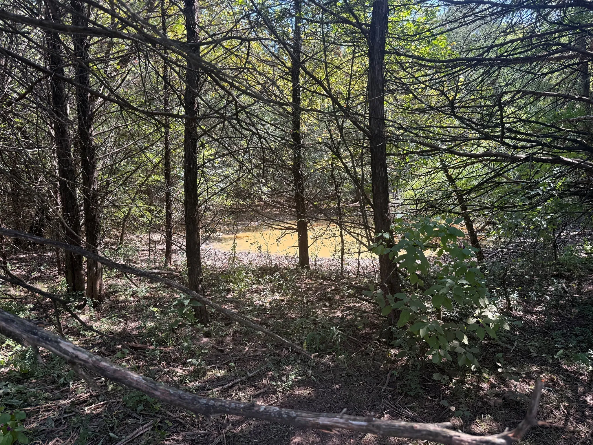Farm For Sale in Grayson County , 808 W Line Road, Whitesboro, Texas 76273, 3 Bedrooms, 3 Bathrooms, Garage spaces, 2,000 Sqft, built in 2007, Preowned, Price $3,500,000, mls#21065085, Real Estate Agent in Whitesboro, Homes For Sale in Grayson county, Homes For Sale in Whitesboro, Realtor in Whitesboro Texas, Real Estate Brokerage Independent Realty Texas, Luminita Cordes Realtor