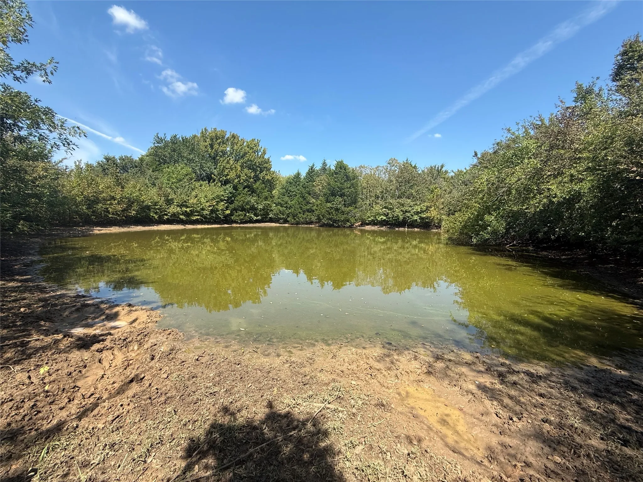 Farm For Sale in Grayson County , 808 W Line Road, Whitesboro, Texas 76273, 3 Bedrooms, 3 Bathrooms, Garage spaces, 2,000 Sqft, built in 2007, Preowned, Price $3,500,000, mls#21065085, Real Estate Agent in Whitesboro, Homes For Sale in Grayson county, Homes For Sale in Whitesboro, Realtor in Whitesboro Texas, Real Estate Brokerage Independent Realty Texas, Luminita Cordes Realtor