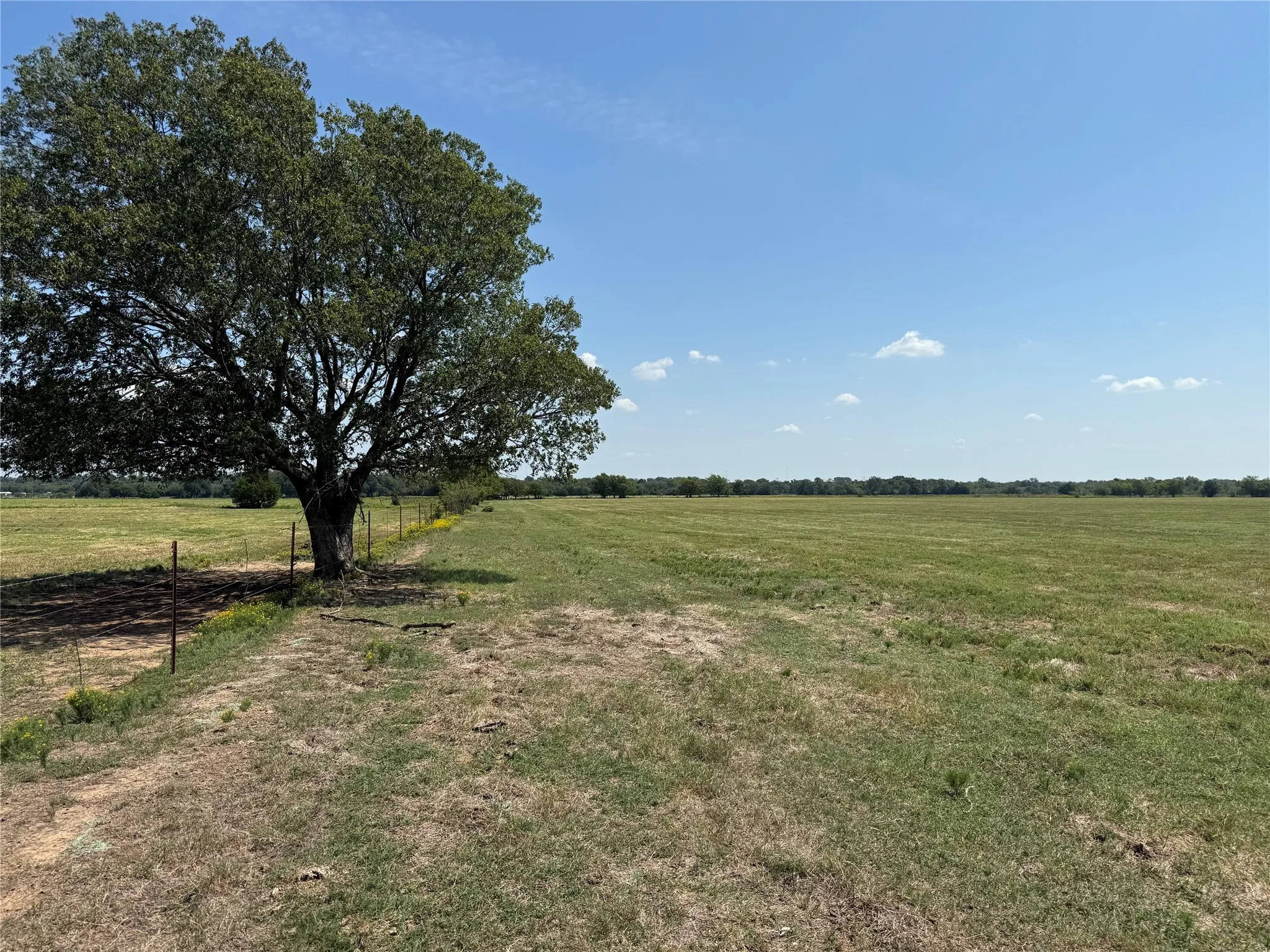 Farm For Sale in Grayson County , 808 W Line Road, Whitesboro, Texas 76273, 3 Bedrooms, 3 Bathrooms, Garage spaces, 2,000 Sqft, built in 2007, Preowned, Price $3,500,000, mls#21065085, Real Estate Agent in Whitesboro, Homes For Sale in Grayson county, Homes For Sale in Whitesboro, Realtor in Whitesboro Texas, Real Estate Brokerage Independent Realty Texas, Luminita Cordes Realtor