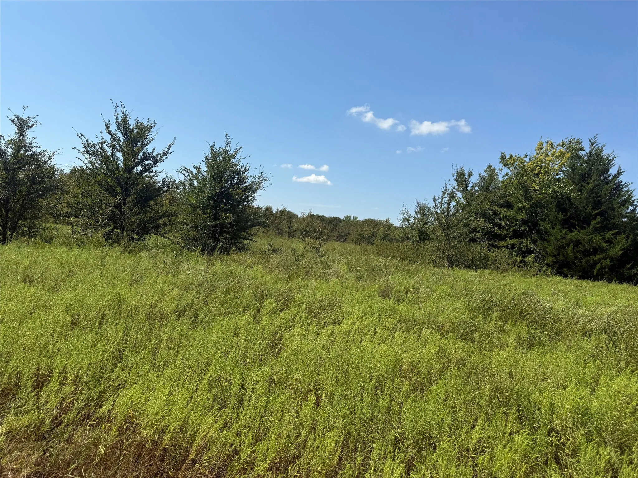 Farm For Sale in Grayson County , 808 W Line Road, Whitesboro, Texas 76273, 3 Bedrooms, 3 Bathrooms, Garage spaces, 2,000 Sqft, built in 2007, Preowned, Price $3,500,000, mls#21065085, Real Estate Agent in Whitesboro, Homes For Sale in Grayson county, Homes For Sale in Whitesboro, Realtor in Whitesboro Texas, Real Estate Brokerage Independent Realty Texas, Luminita Cordes Realtor
