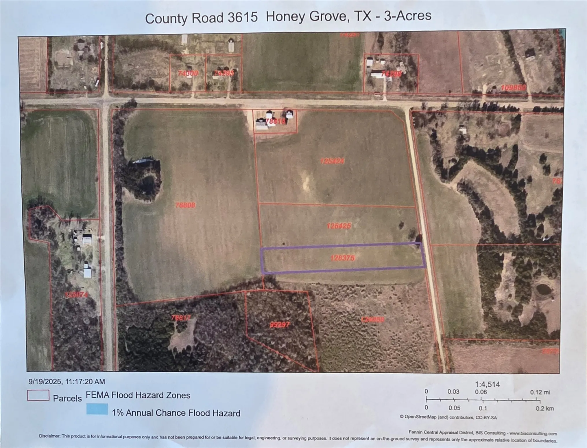 Map from Fannin CAD showing location of property.