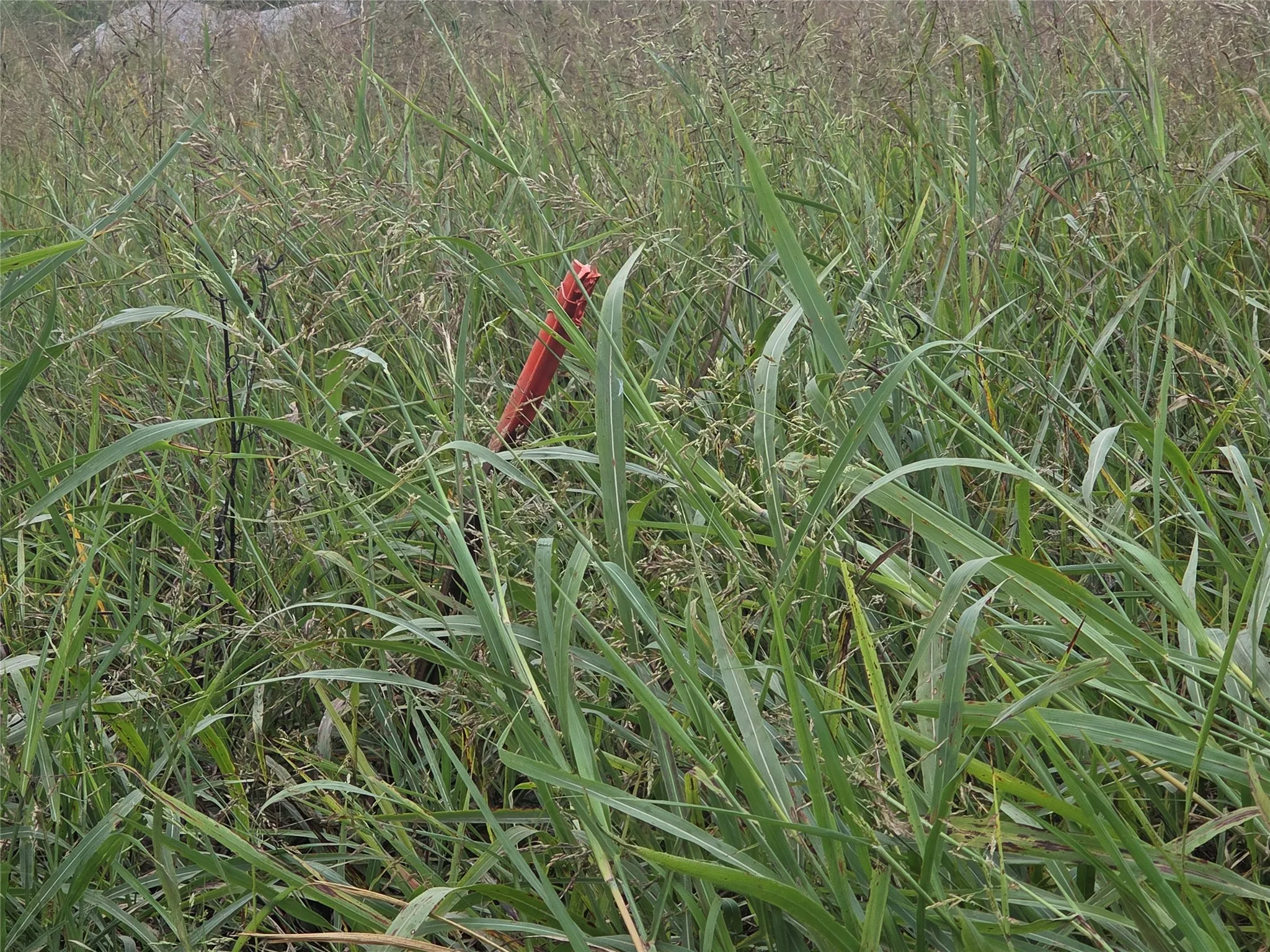 Red-Tipped Post is the South Property Line.