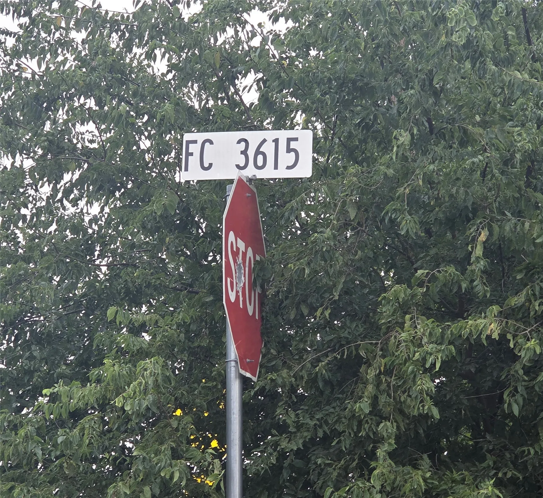 County Road 3615.
