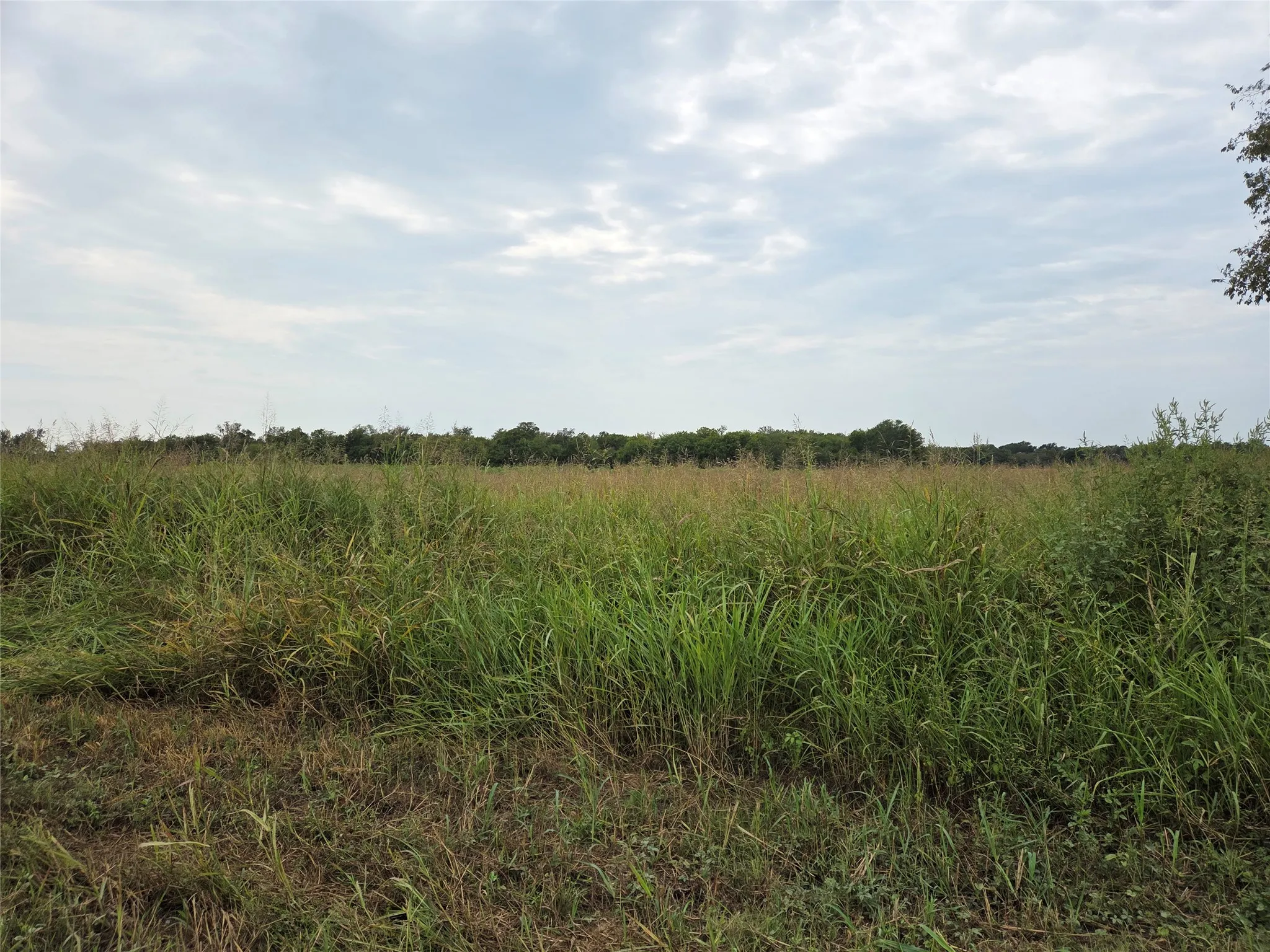 Unimproved Land For Sale in Fannin County , TBD County Road 3615, Honey Grove, Texas 75446, 0, 0, Garage spaces, 0 Sqft, built in 0, mls#21064900, Real Estate Agent in Honey Grove, Homes For Sale in Fannin county, Homes For Sale in Honey Grove, Realtor in Honey Grove Texas, Real Estate Brokerage Independent Realty Texas, Luminita Cordes Realtor