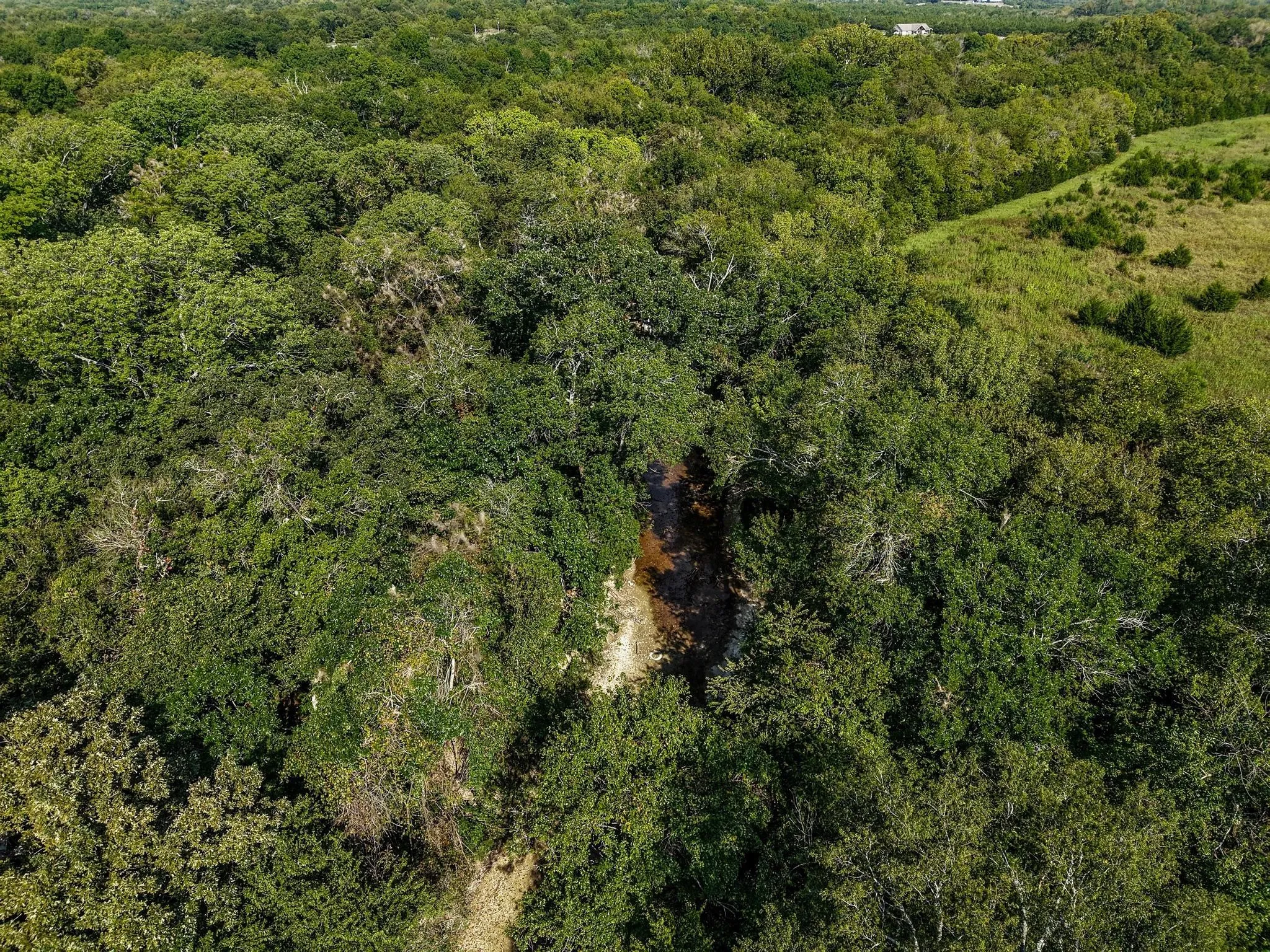 Unimproved Land For Sale in Collin County , 0000 County Road 534, Whitewright, Texas 75491, 0, 0, Garage spaces, 0 Sqft, built in 1900, Price $1,450,000, mls#21065733, Real Estate Agent in Whitewright, Homes For Sale in Collin county, Homes For Sale in Whitewright, Realtor in Whitewright Texas, Real Estate Brokerage Independent Realty Texas, Luminita Cordes Realtor