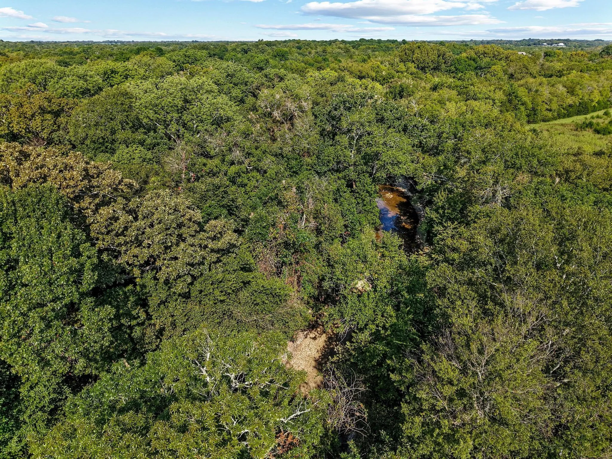 Unimproved Land For Sale in Collin County , 0000 County Road 534, Whitewright, Texas 75491, 0, 0, Garage spaces, 0 Sqft, built in 1900, Price $1,450,000, mls#21065733, Real Estate Agent in Whitewright, Homes For Sale in Collin county, Homes For Sale in Whitewright, Realtor in Whitewright Texas, Real Estate Brokerage Independent Realty Texas, Luminita Cordes Realtor