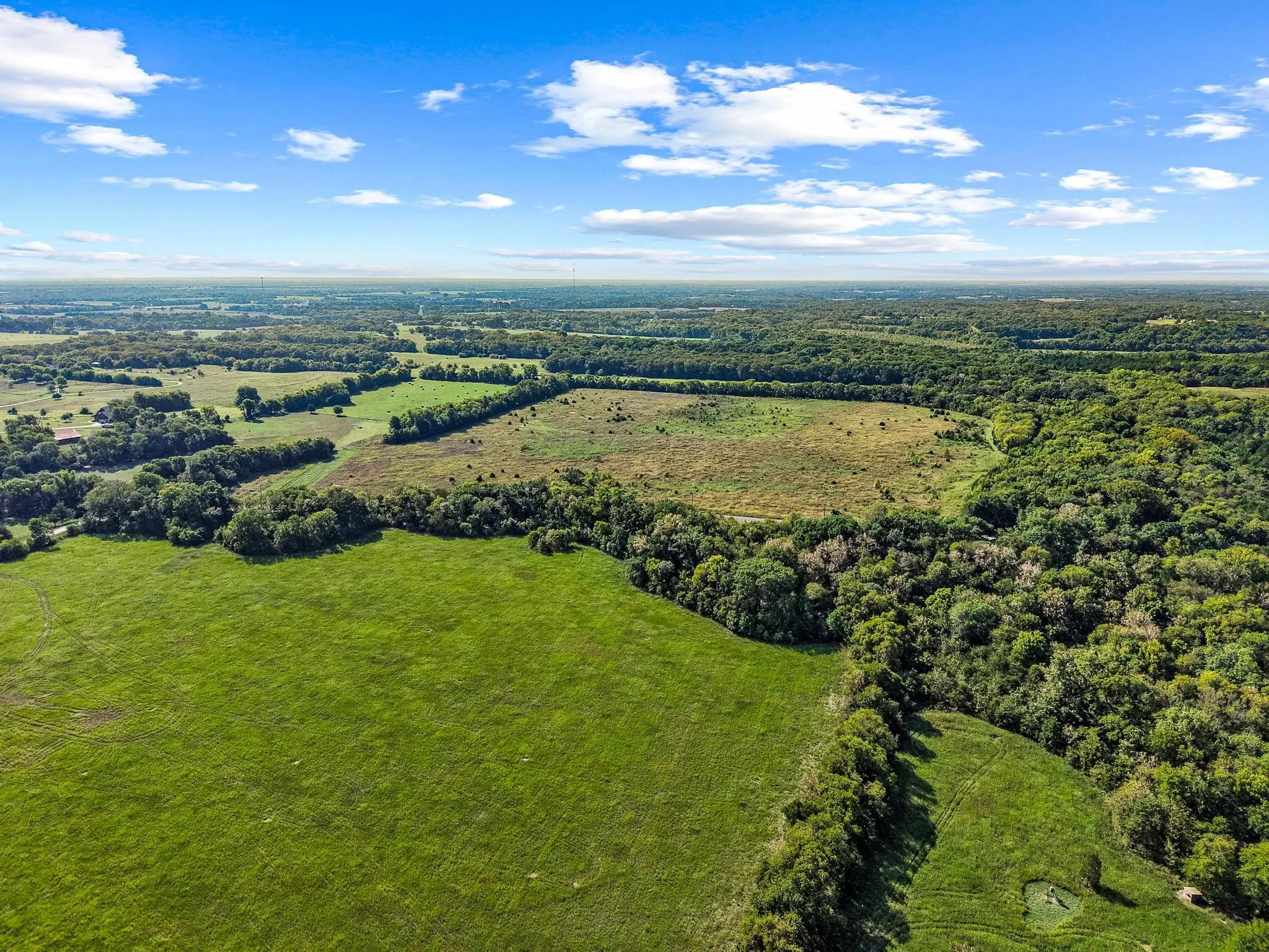 Unimproved Land For Sale in Collin County , 0000 County Road 534, Whitewright, Texas 75491, 0, 0, Garage spaces, 0 Sqft, built in 1900, Price $1,450,000, mls#21065733, Real Estate Agent in Whitewright, Homes For Sale in Collin county, Homes For Sale in Whitewright, Realtor in Whitewright Texas, Real Estate Brokerage Independent Realty Texas, Luminita Cordes Realtor