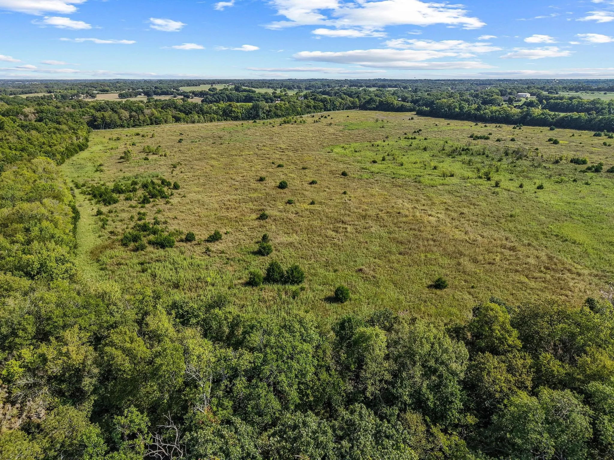Unimproved Land For Sale in Collin County , 0000 County Road 534, Whitewright, Texas 75491, 0, 0, Garage spaces, 0 Sqft, built in 1900, Price $1,450,000, mls#21065733, Real Estate Agent in Whitewright, Homes For Sale in Collin county, Homes For Sale in Whitewright, Realtor in Whitewright Texas, Real Estate Brokerage Independent Realty Texas, Luminita Cordes Realtor