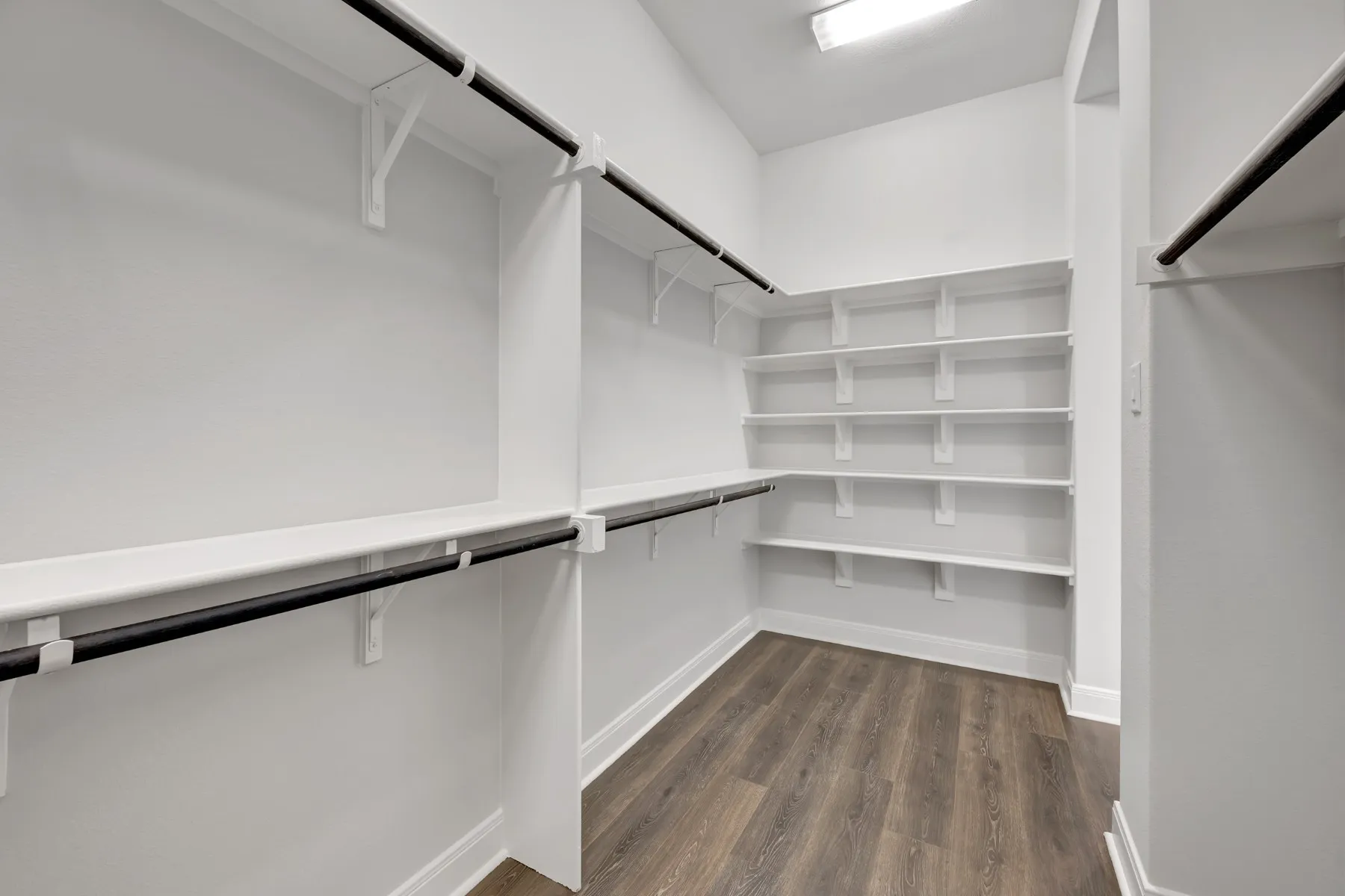 Walk in closet with dark wood finished floors