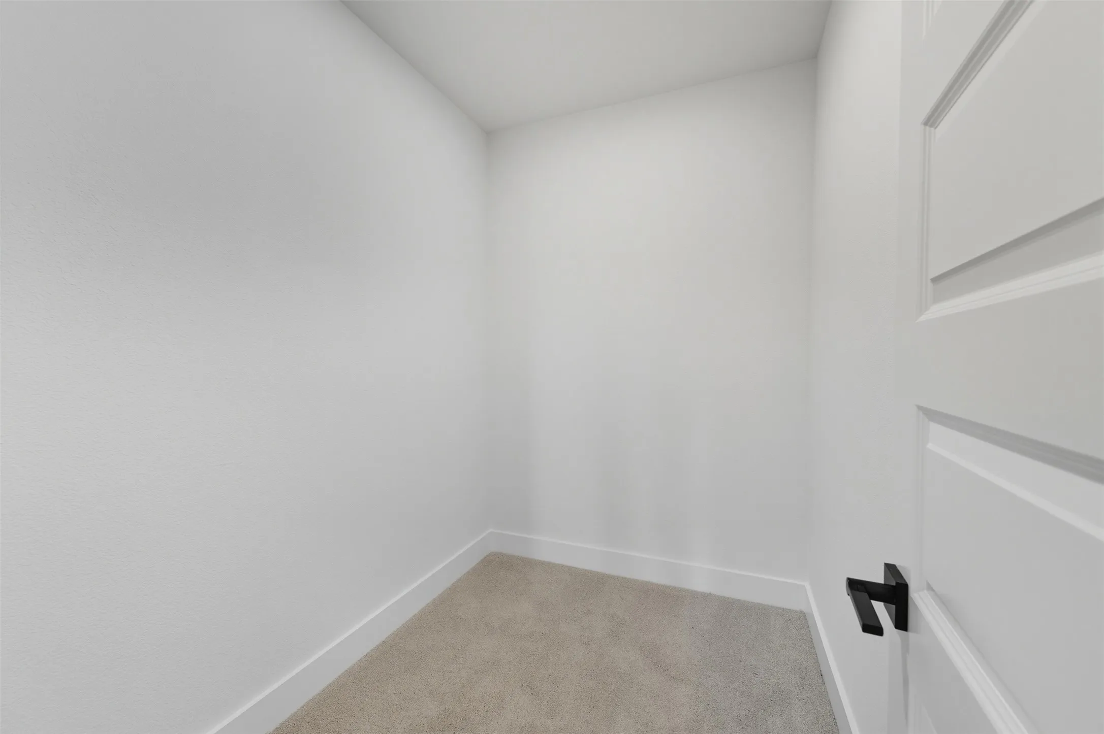 Walk in closet featuring light colored carpet