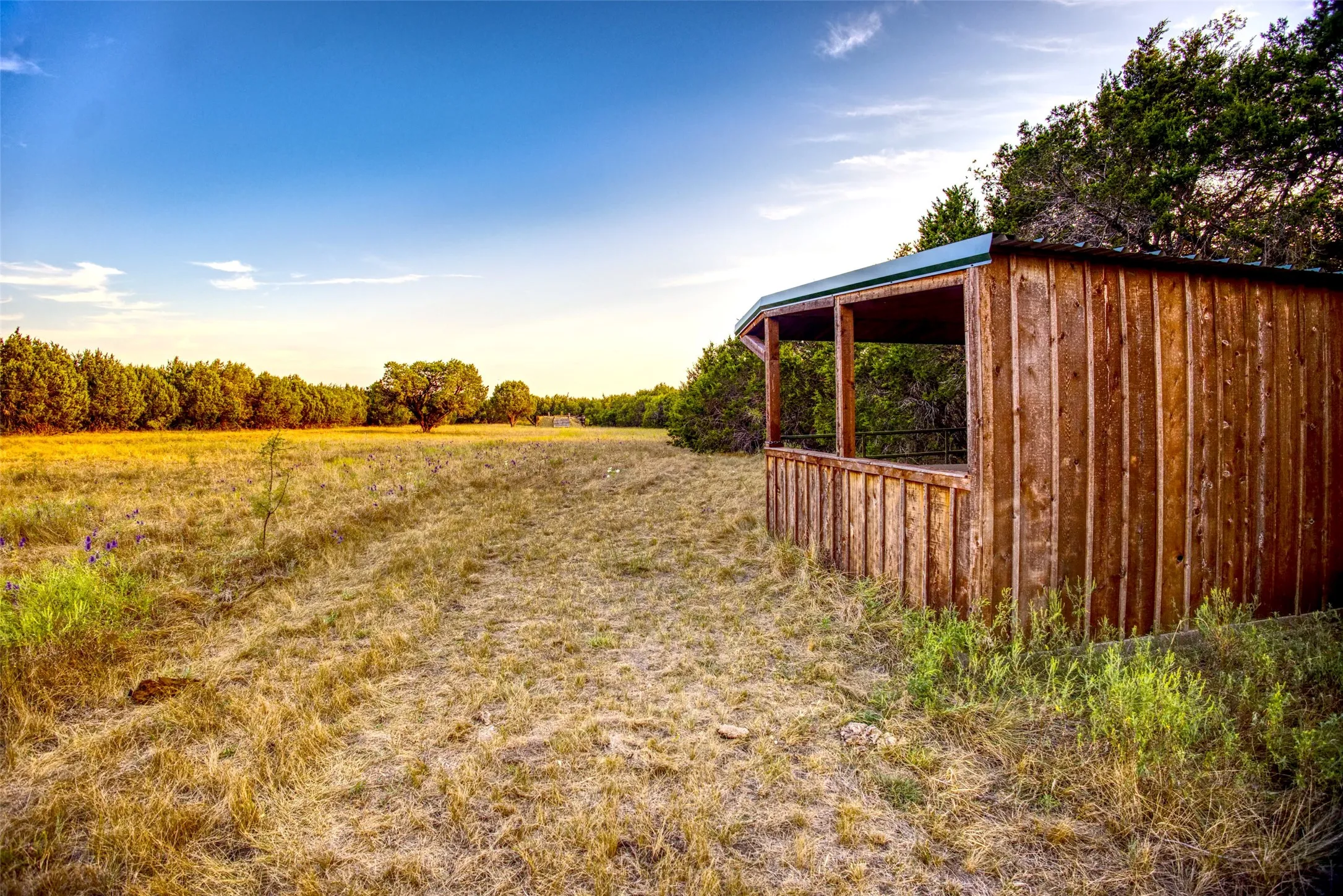 View of yard featuring an outdoor structure